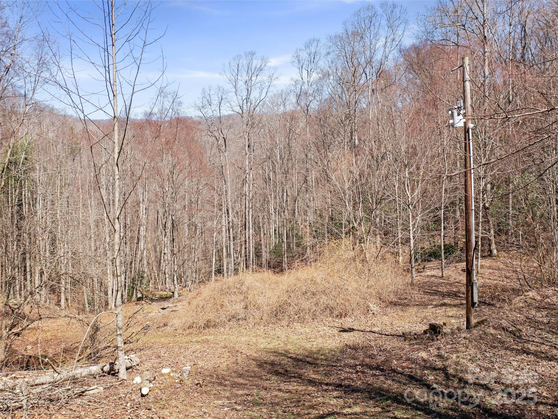 0 NC Highway 226 None - Photo 16