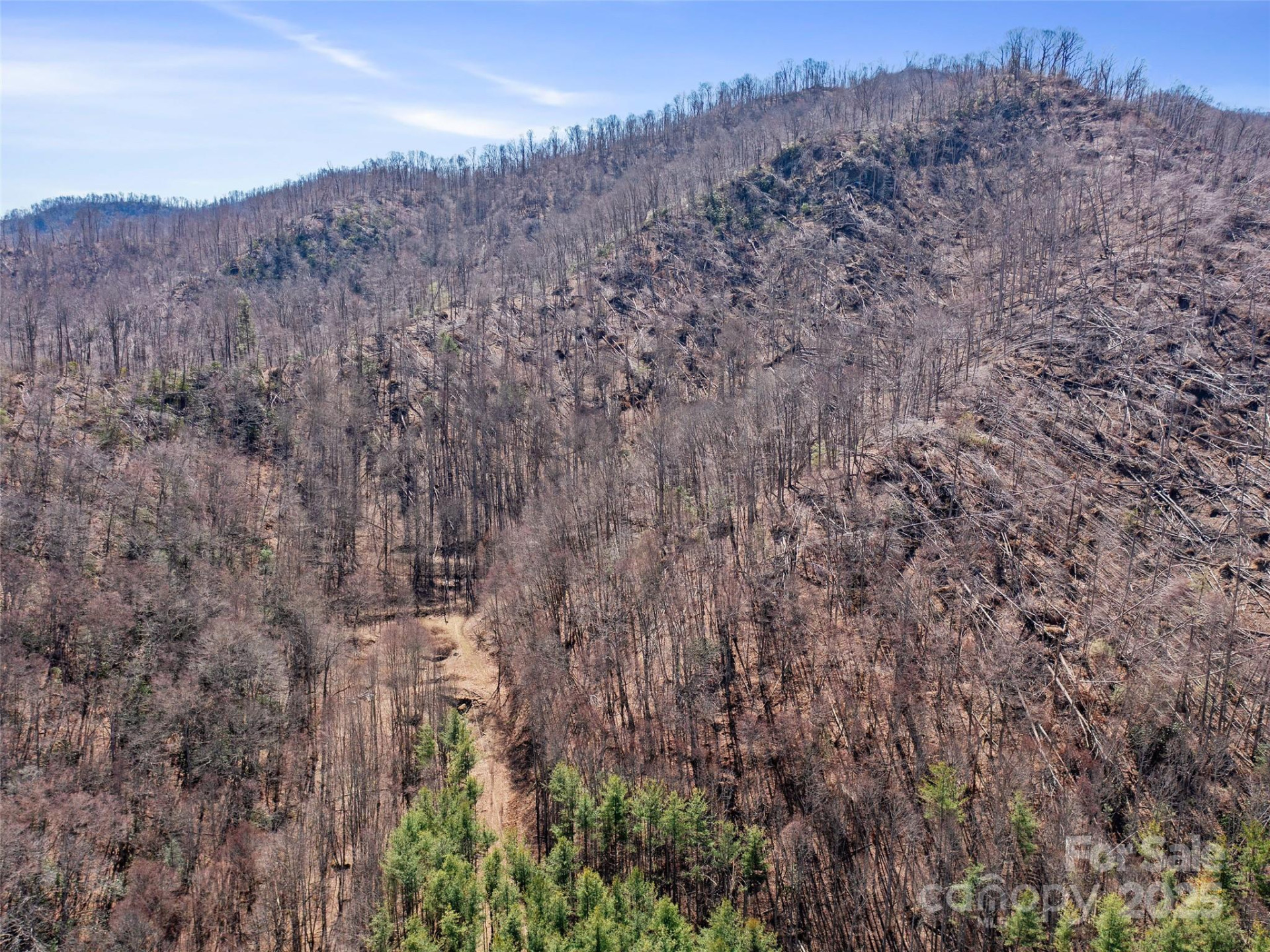 0 NC Highway 226 None - Photo 17