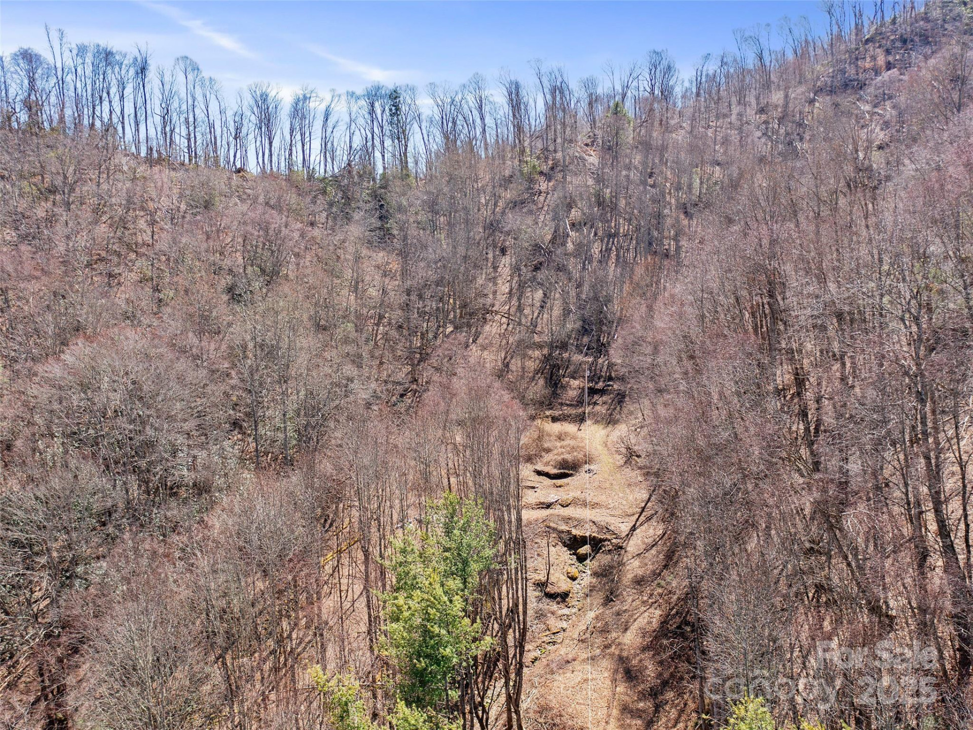 0 NC Highway 226 None - Photo 18