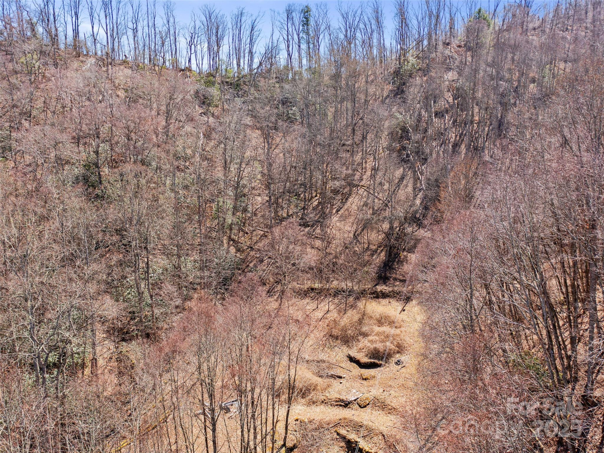 0 NC Highway 226 None - Photo 19