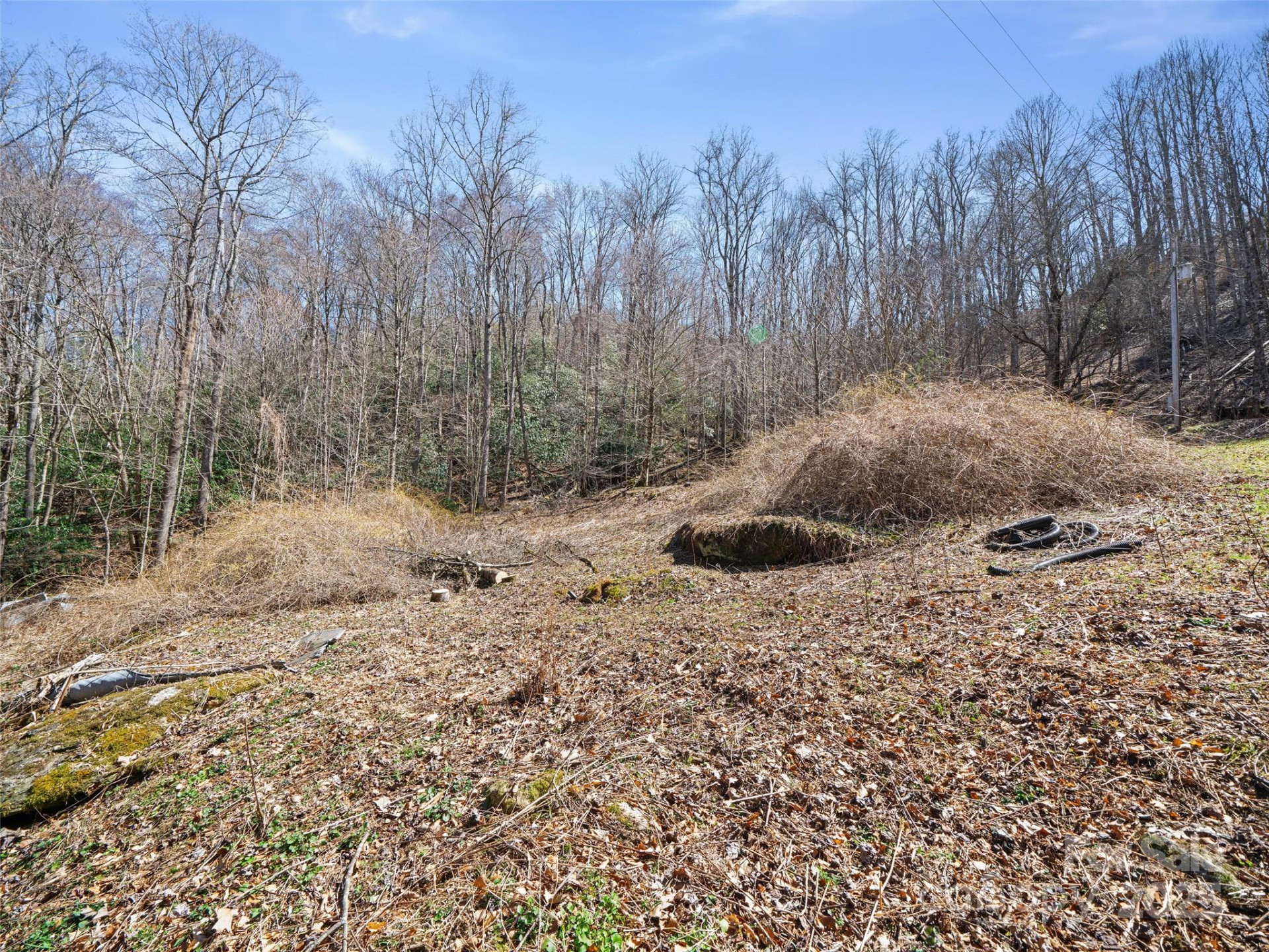 0 NC Highway 226 None - Photo 20