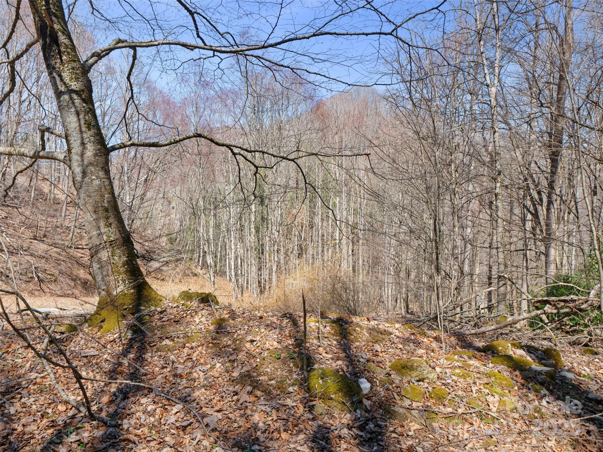 0 NC Highway 226 None - Photo 21