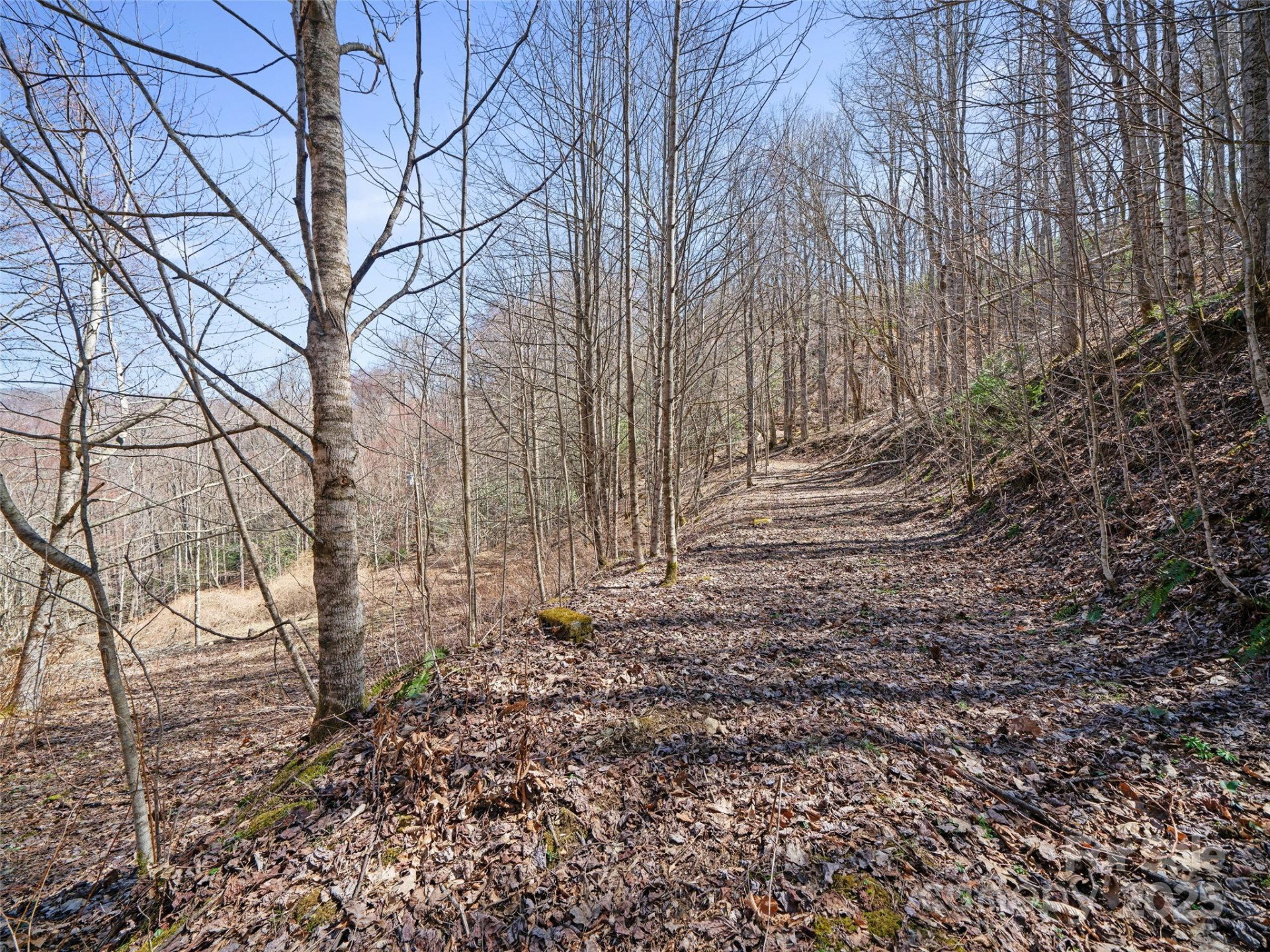 0 NC Highway 226 None - Photo 22