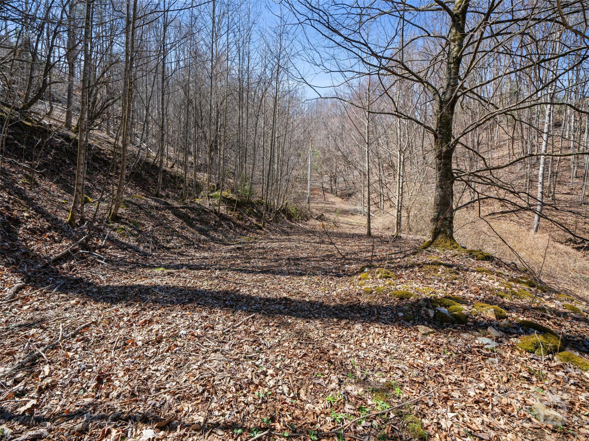 0 NC Highway 226 None - Photo 23