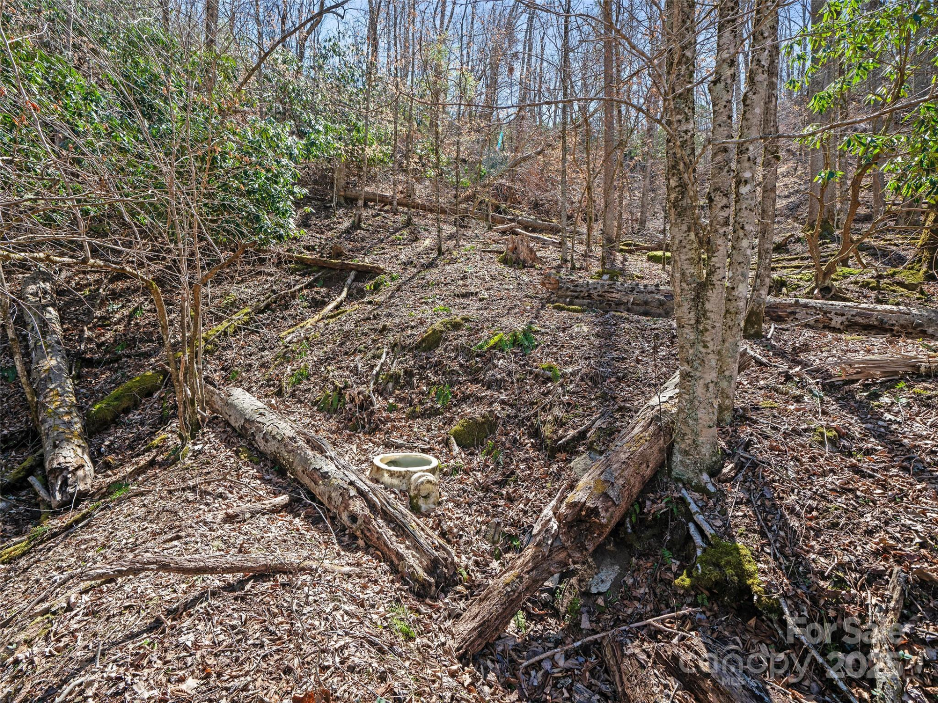 0 NC Highway 226 None - Photo 24