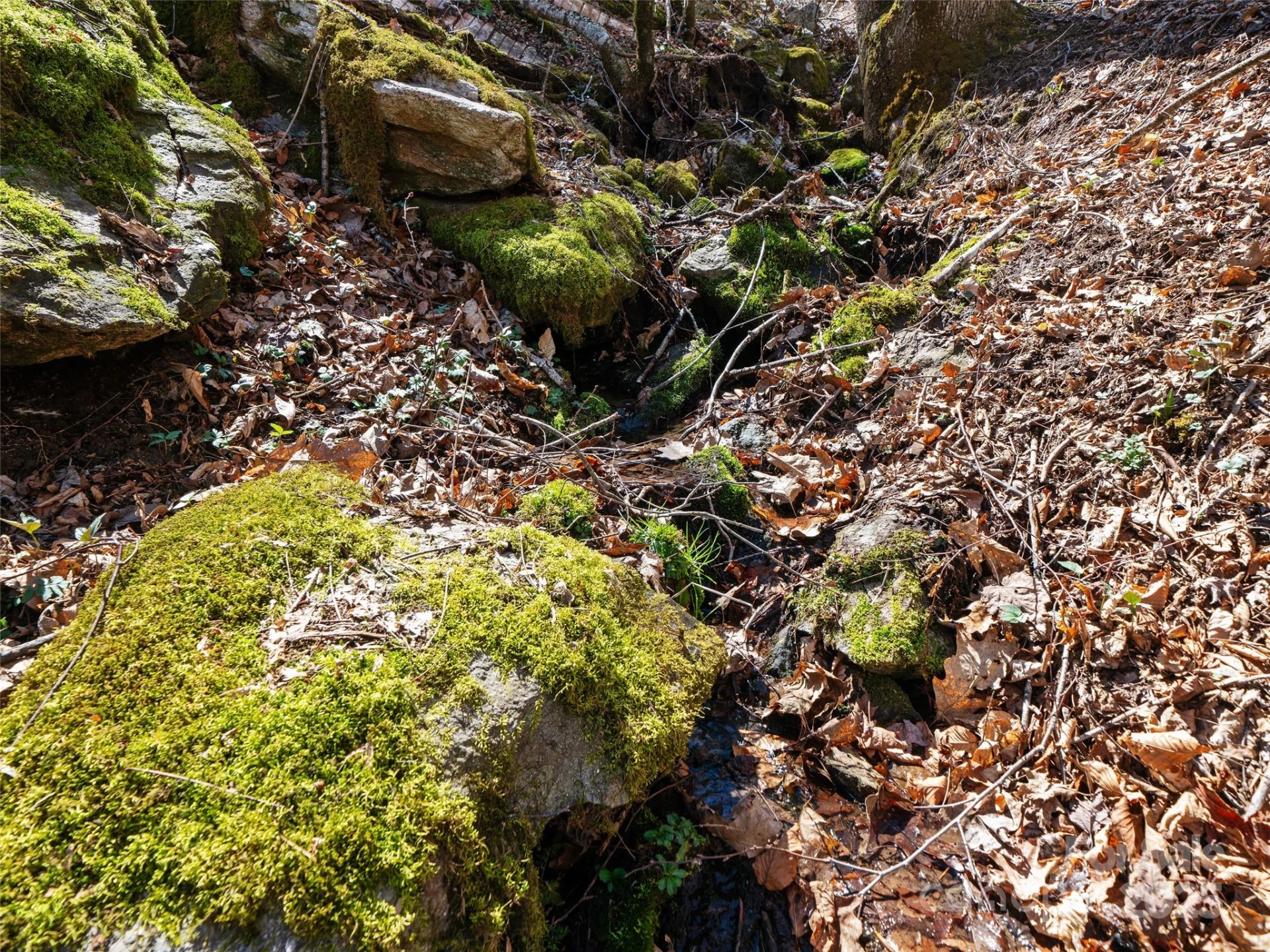 0 NC Highway 226 None - Photo 25