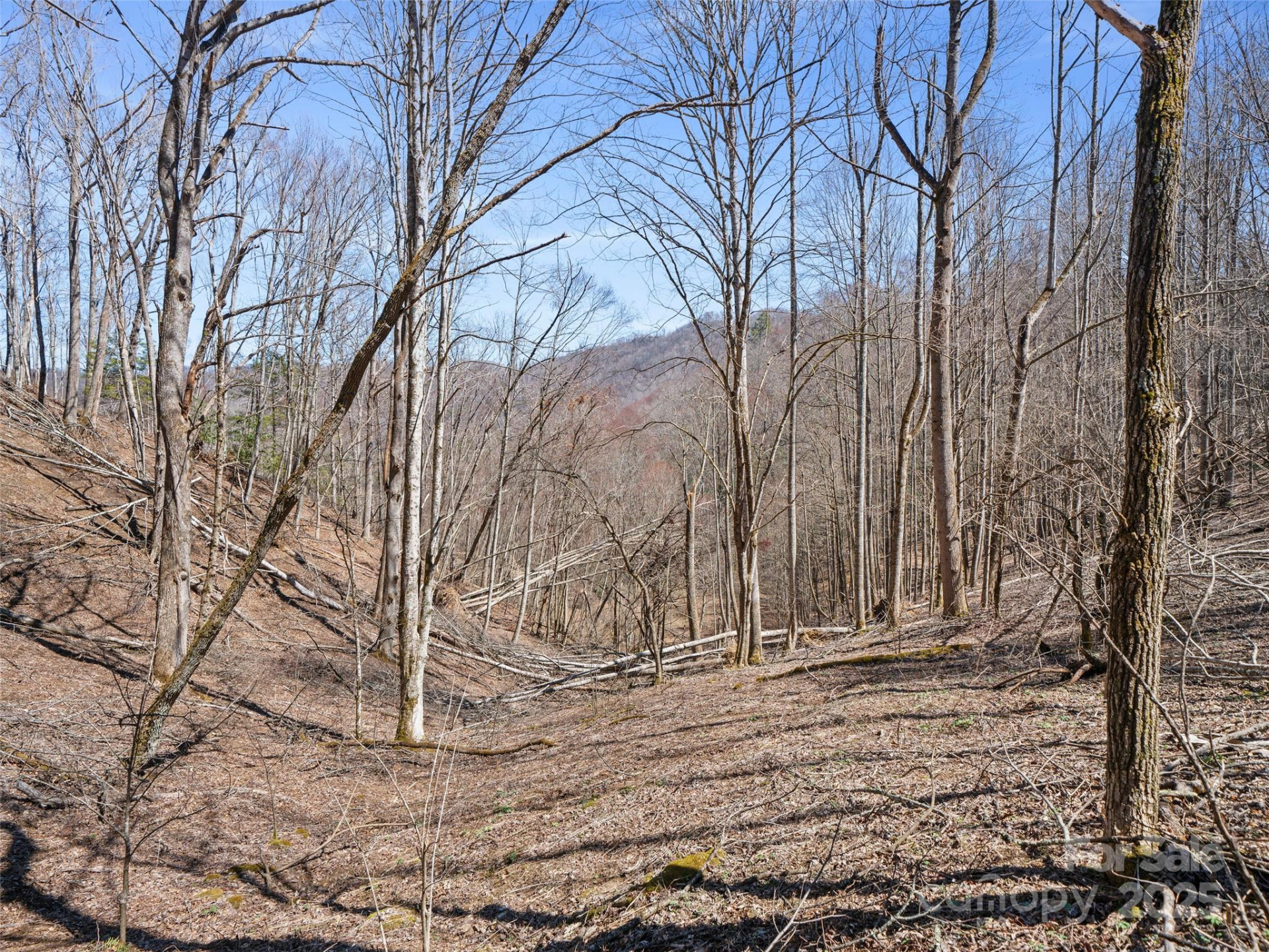 0 NC Highway 226 None - Photo 26