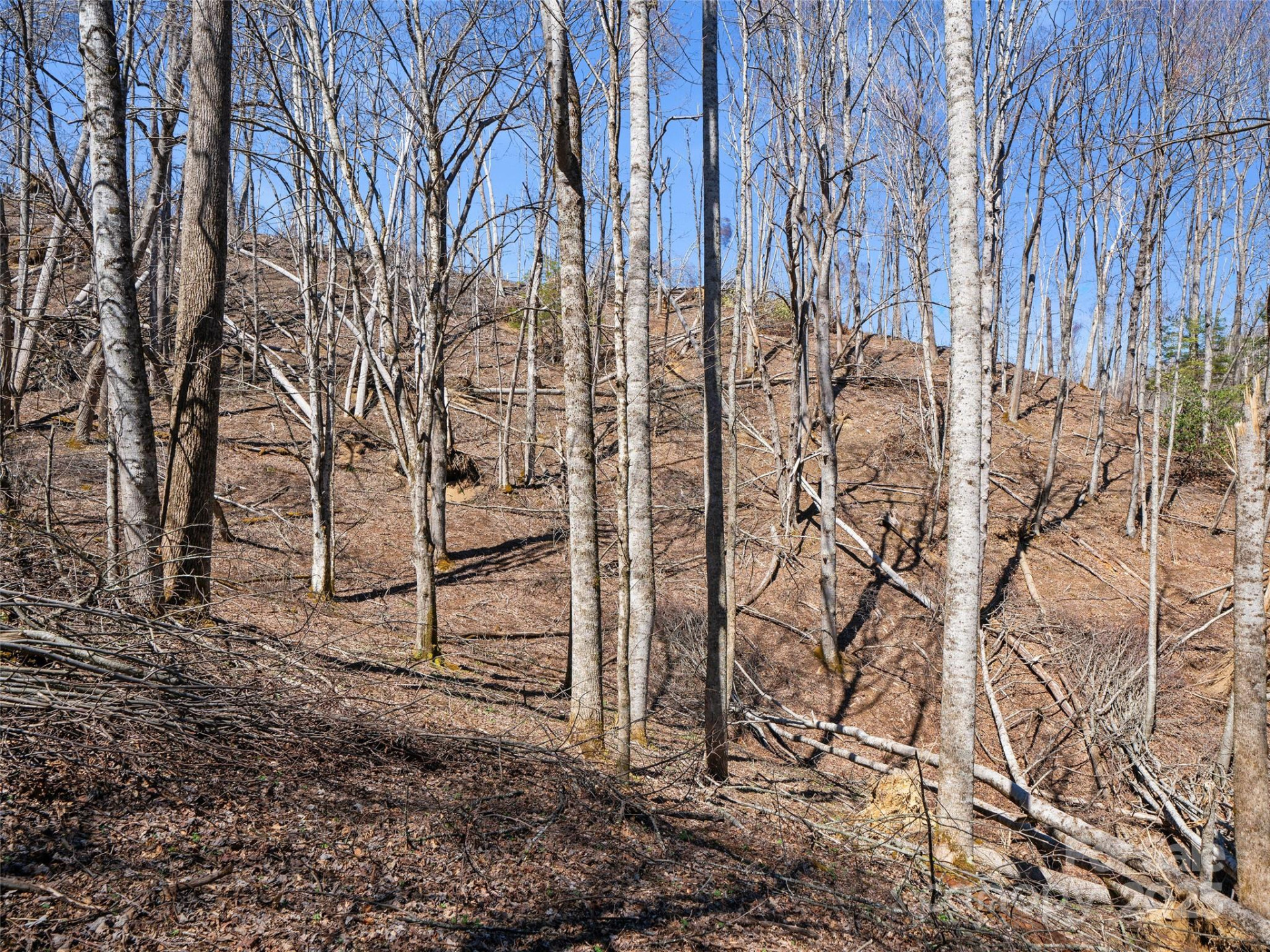 0 NC Highway 226 None - Photo 27