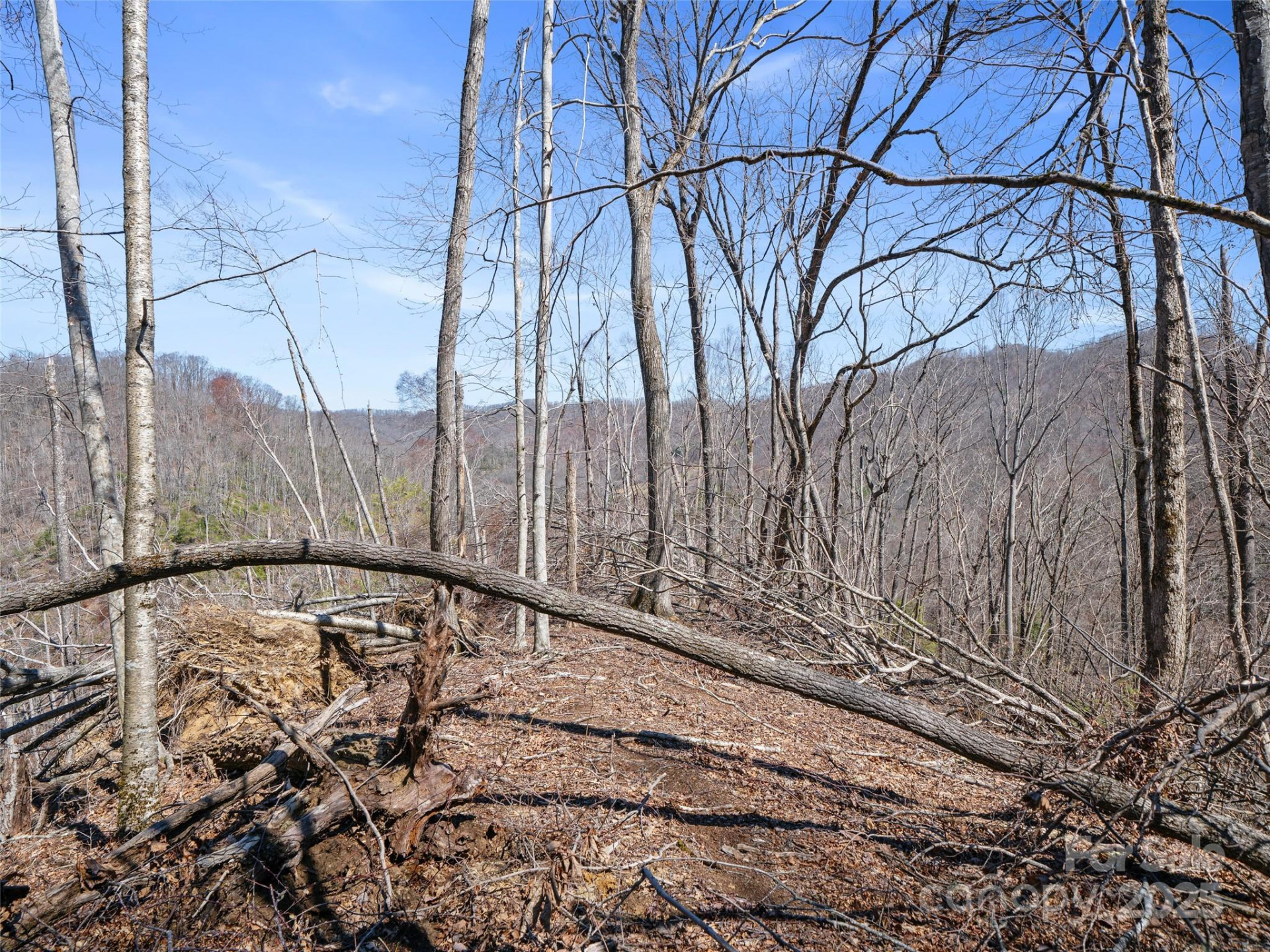 0 NC Highway 226 None - Photo 28