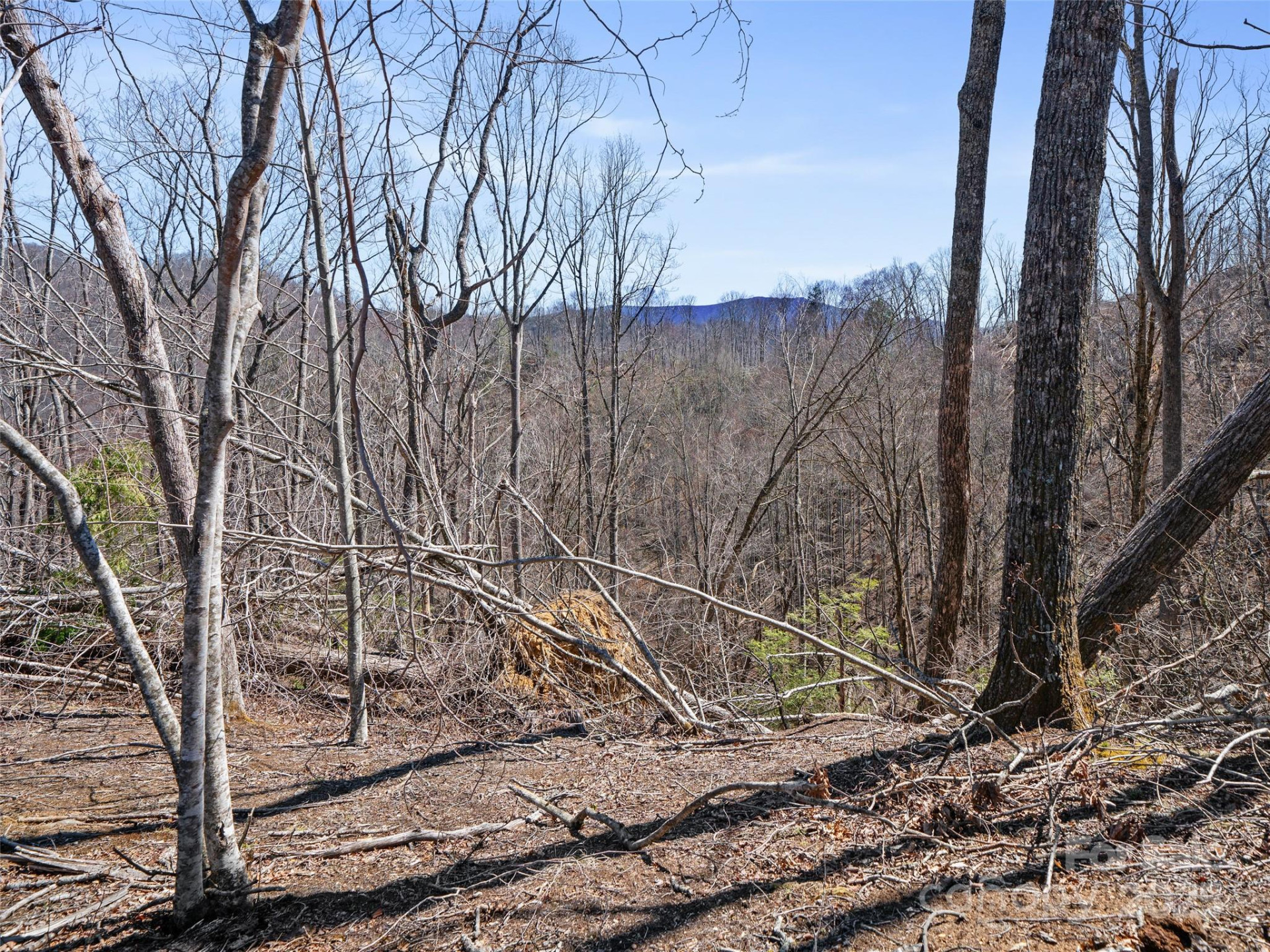 0 NC Highway 226 None - Photo 29