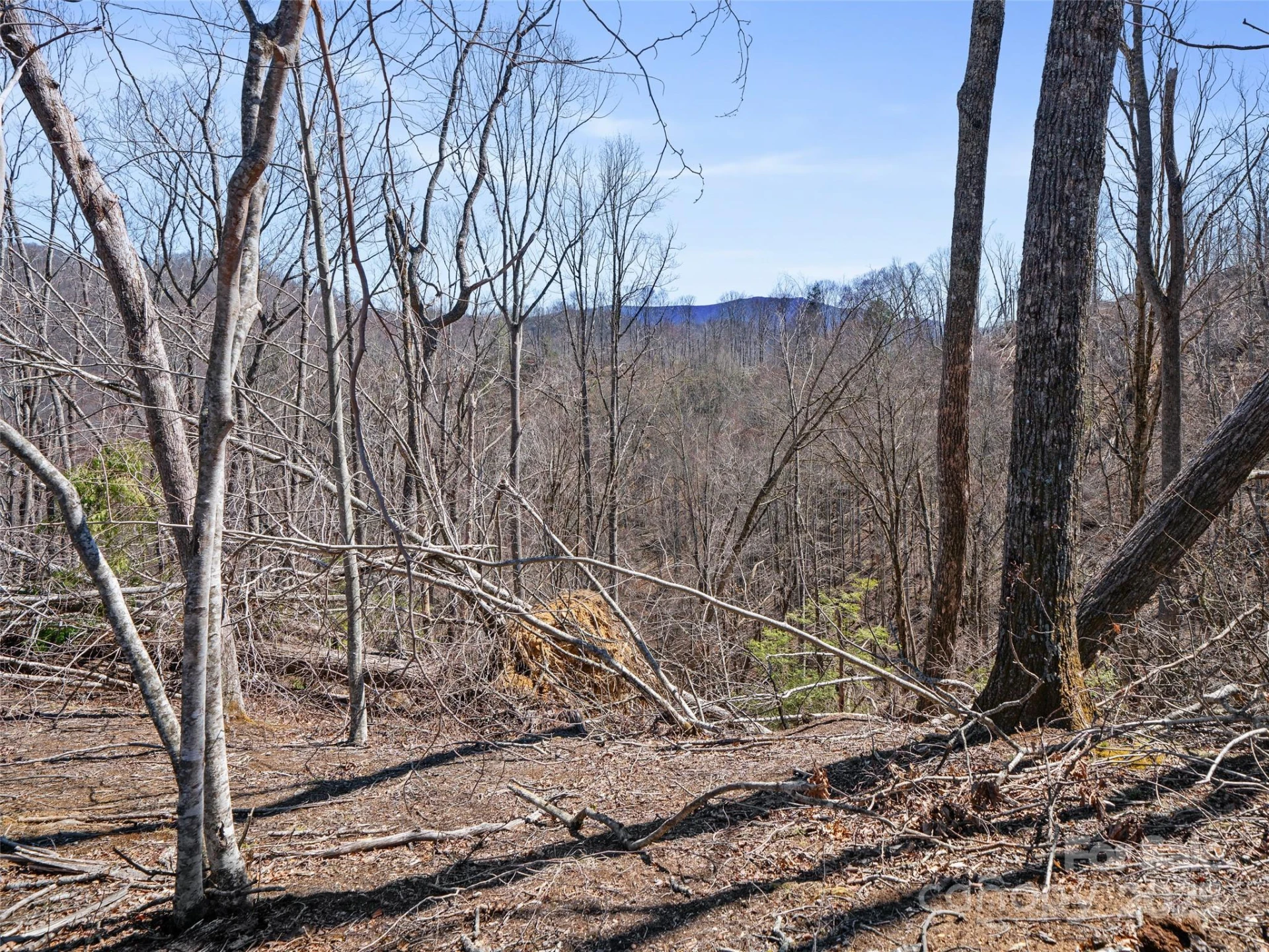 0 NC Highway 226 None - Photo 29