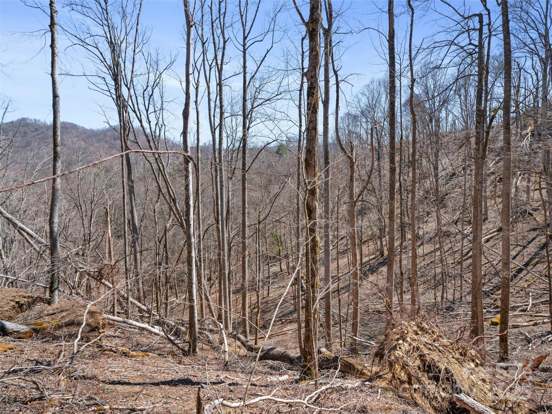 0 NC Highway 226 None - Photo 30