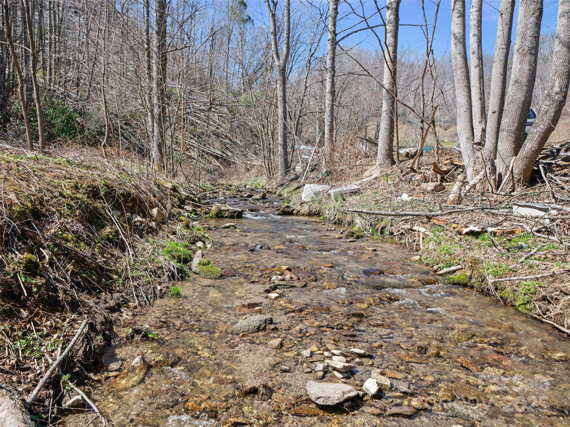 0 NC Highway 226 None - Photo 4