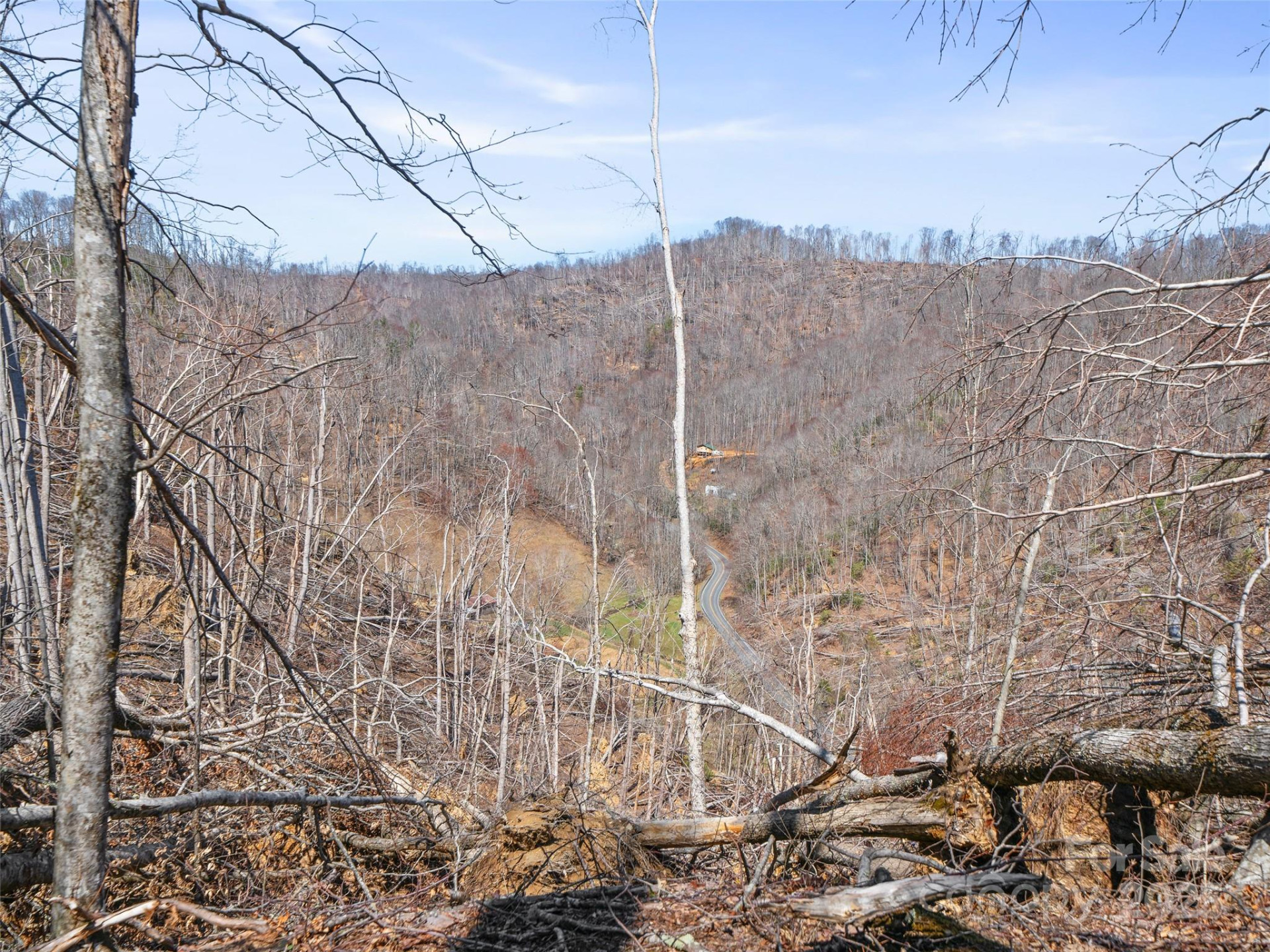 0 NC Highway 226 None - Photo 31