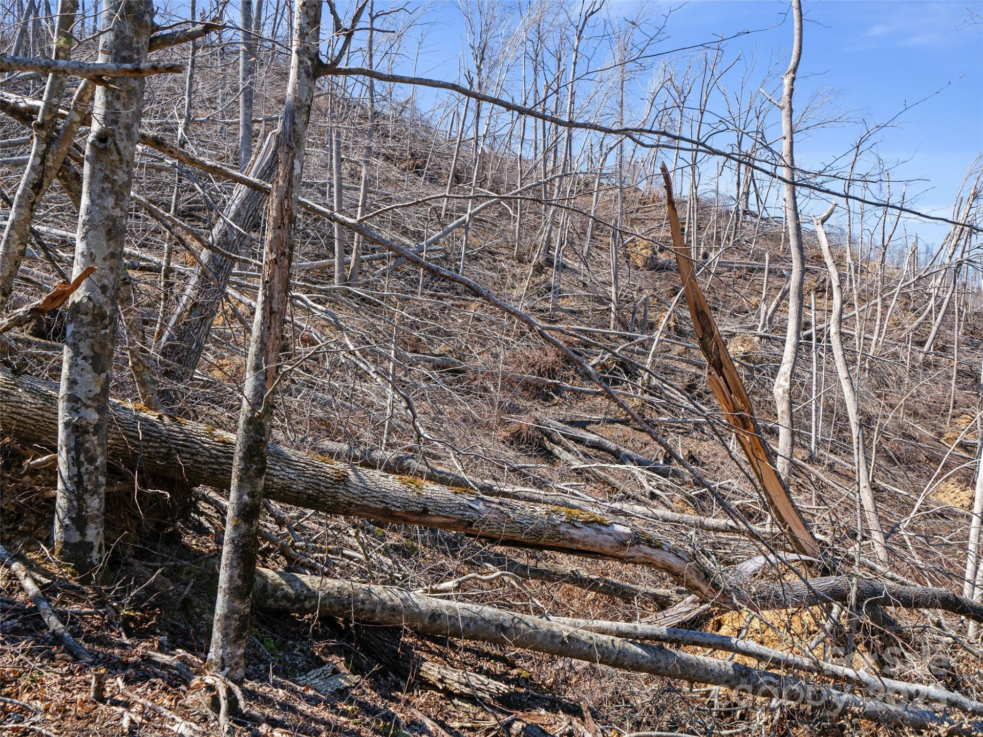 0 NC Highway 226 None - Photo 32