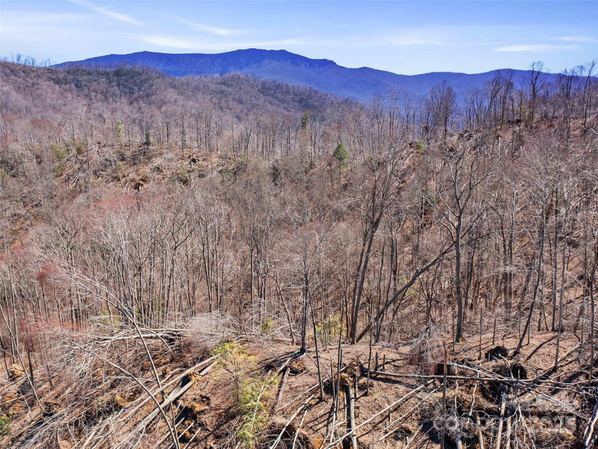 0 NC Highway 226 None - Photo 33