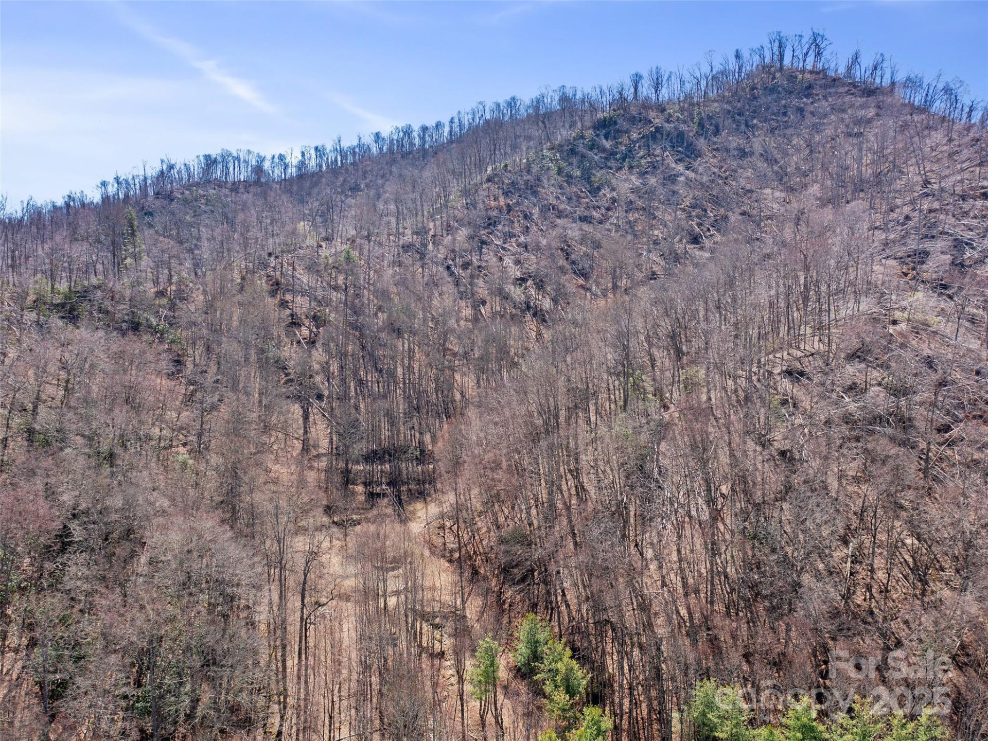 0 NC Highway 226 None - Photo 34