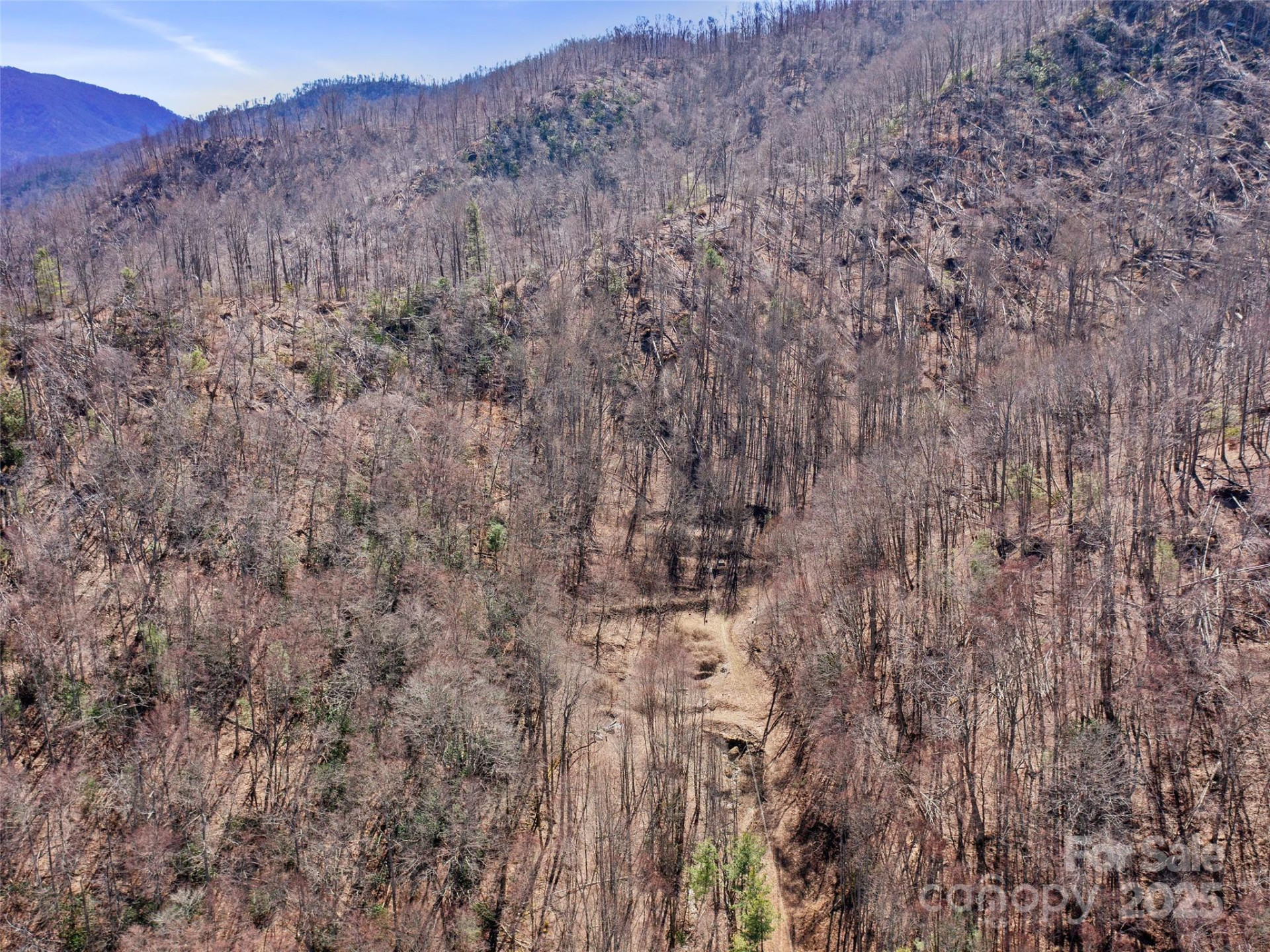 0 NC Highway 226 None - Photo 36