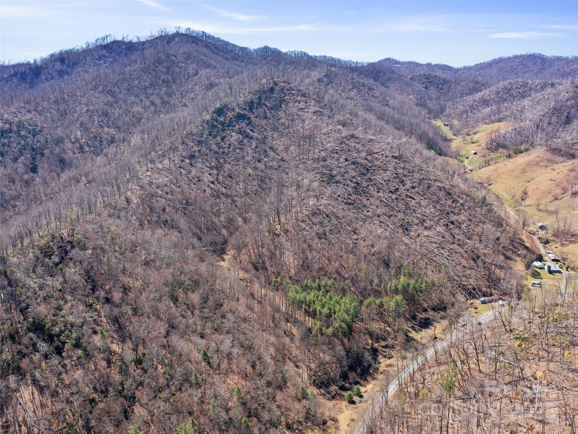 0 NC Highway 226 None - Photo 37