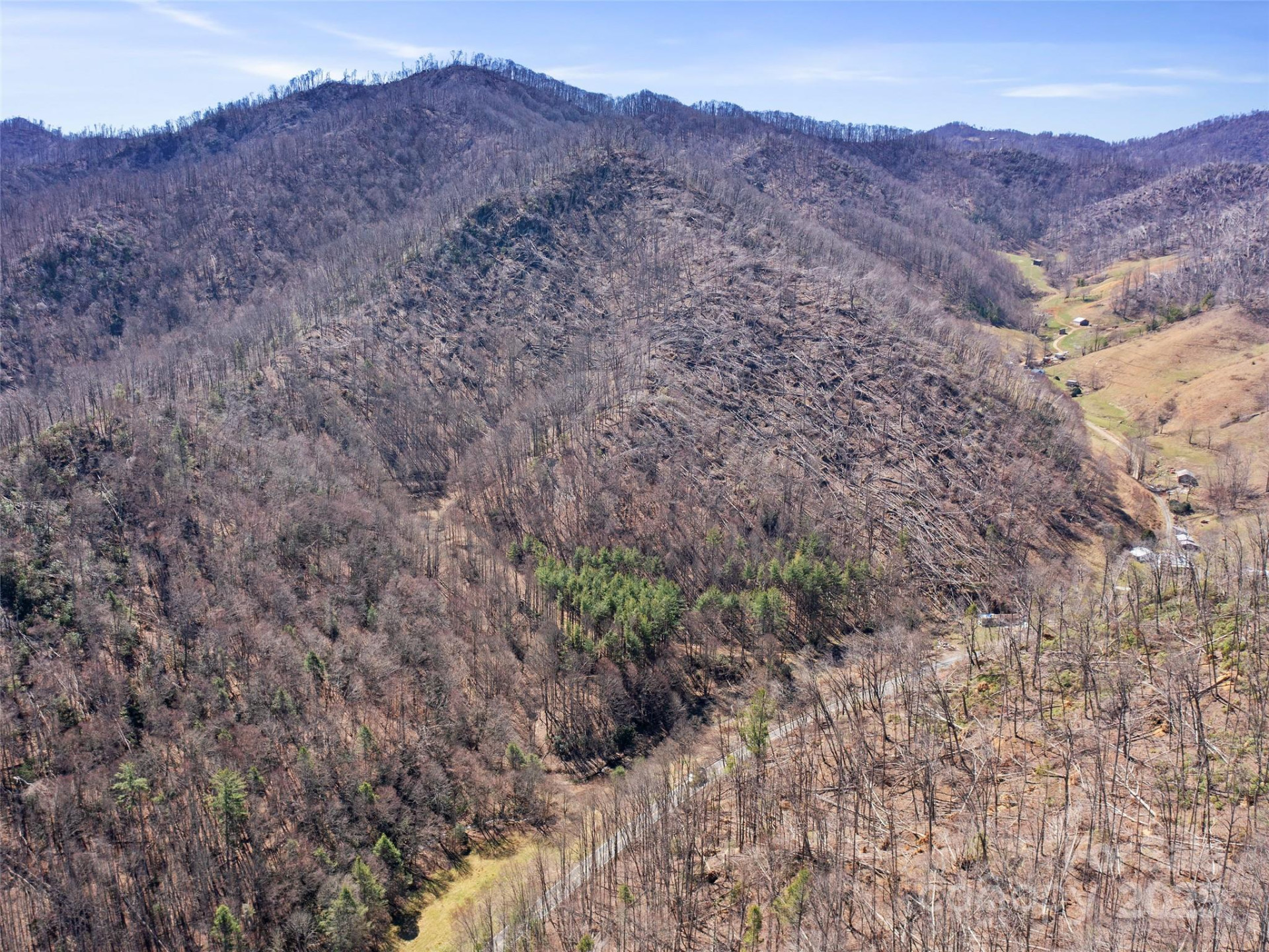 0 NC Highway 226 None - Photo 38