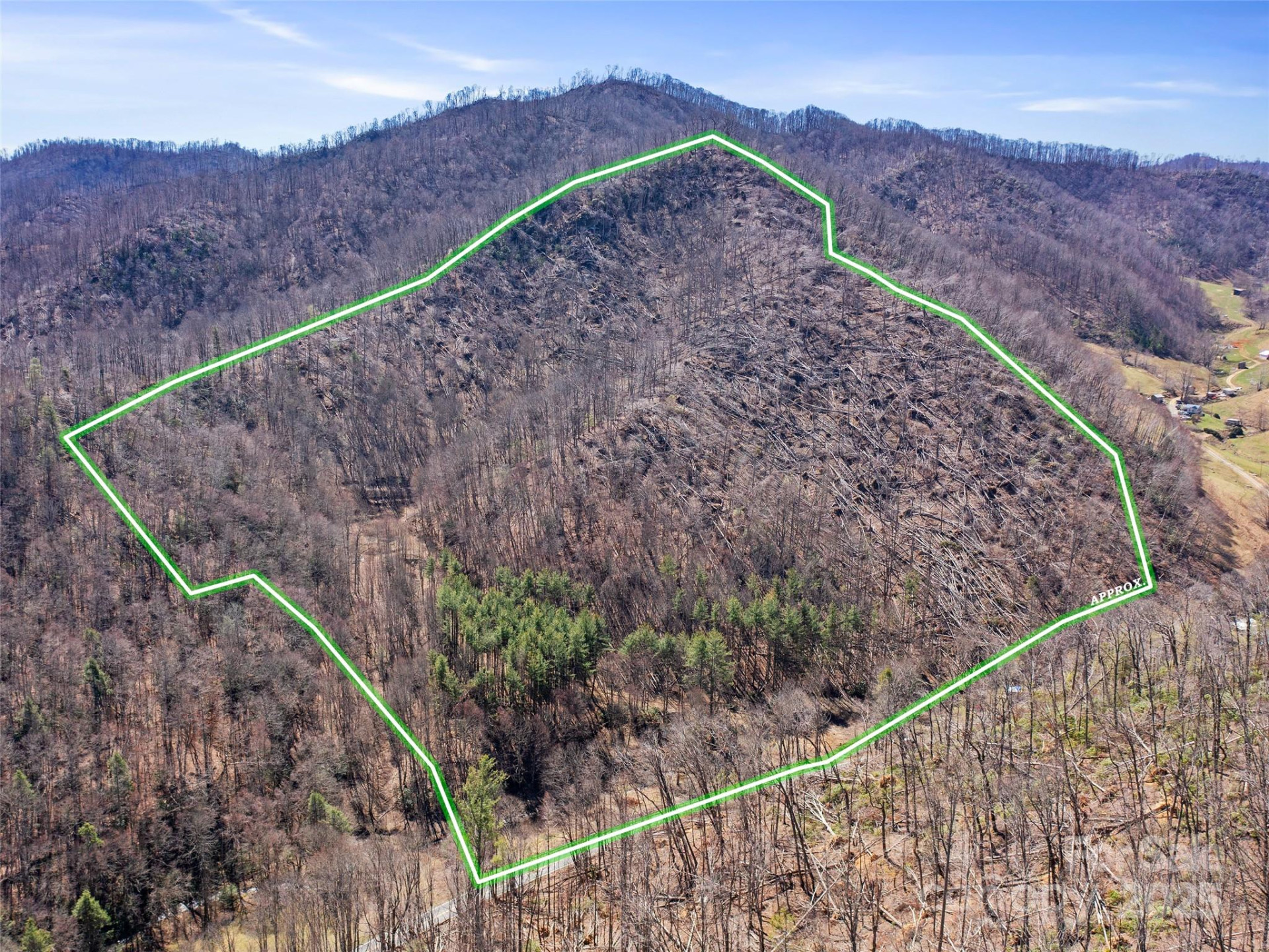 0 NC Highway 226 None - Photo 39