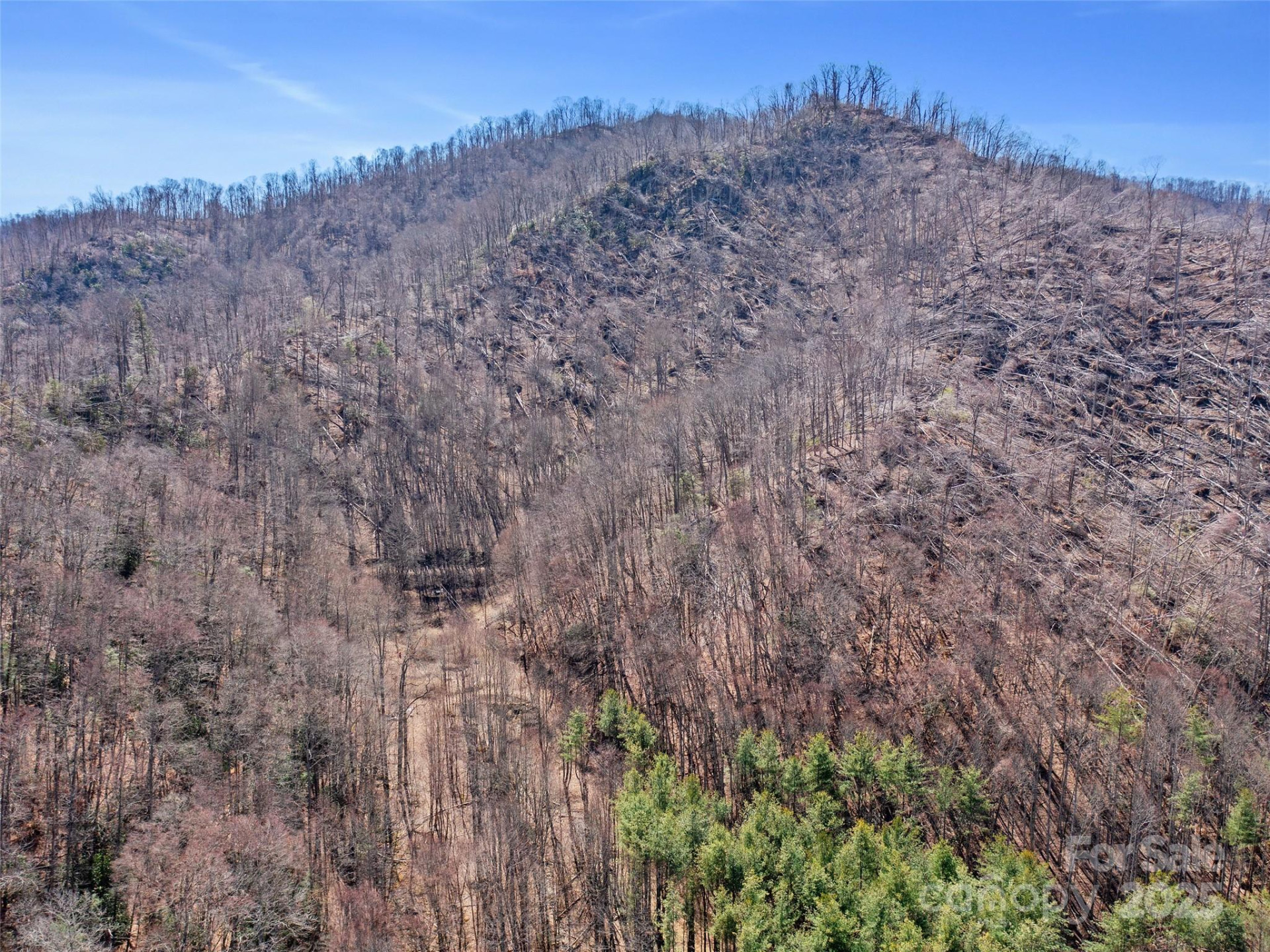 0 NC Highway 226 None - Photo 40