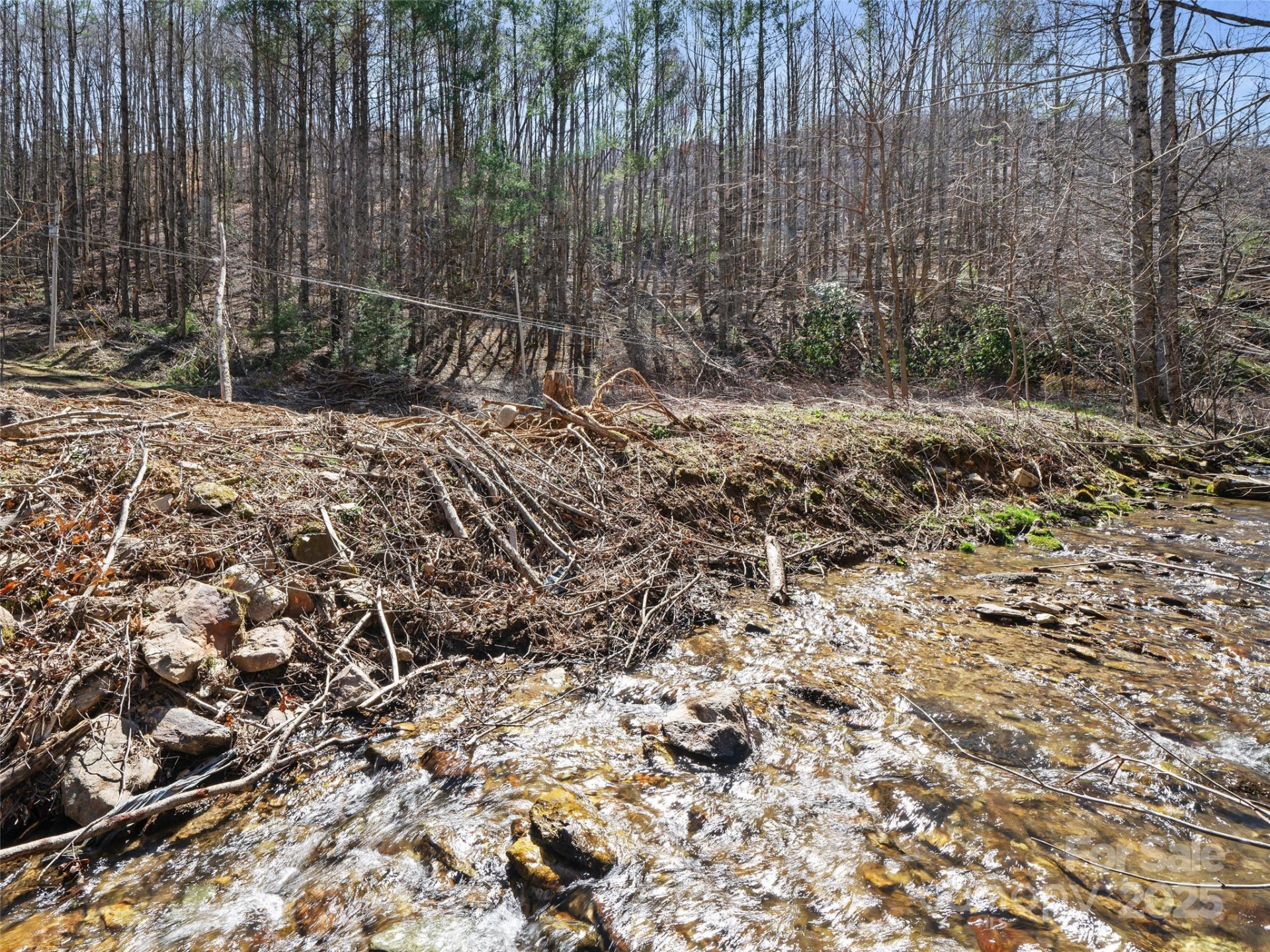 0 NC Highway 226 None - Photo 5