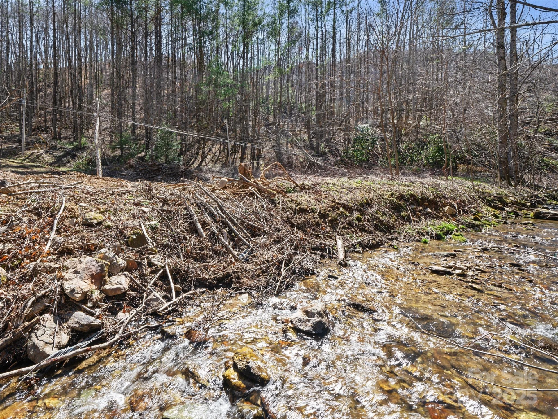 0 NC Highway 226 None - Photo 5