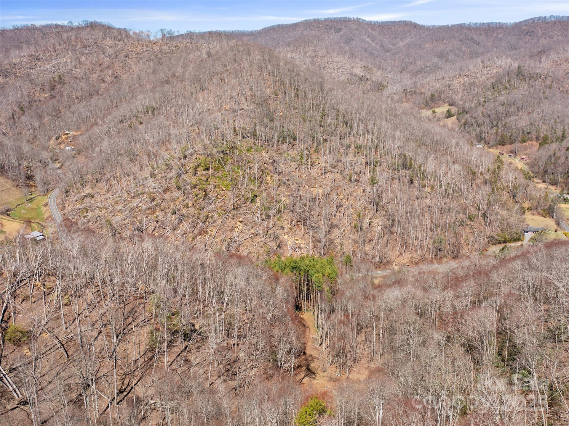 0 NC Highway 226 None - Photo 42