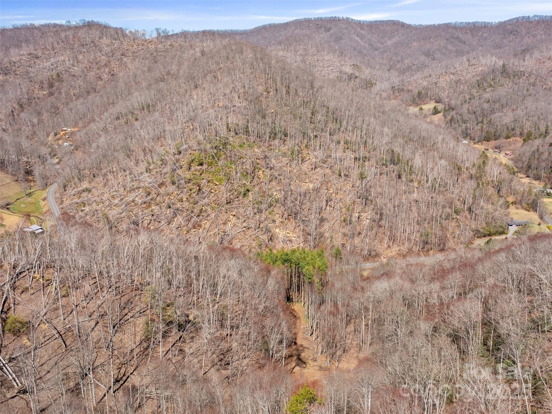 0 NC Highway 226 None - Photo 42