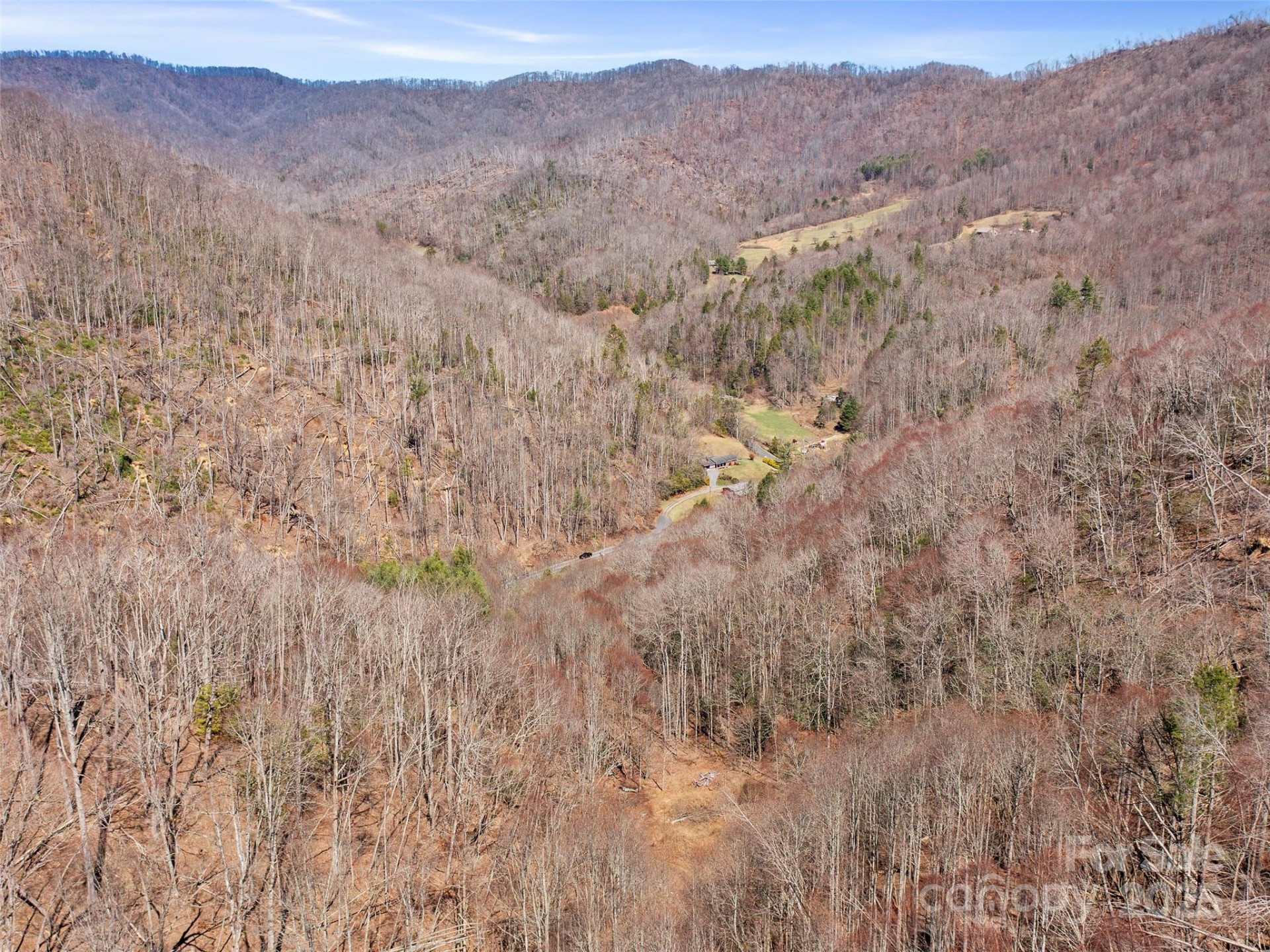 0 NC Highway 226 None - Photo 43