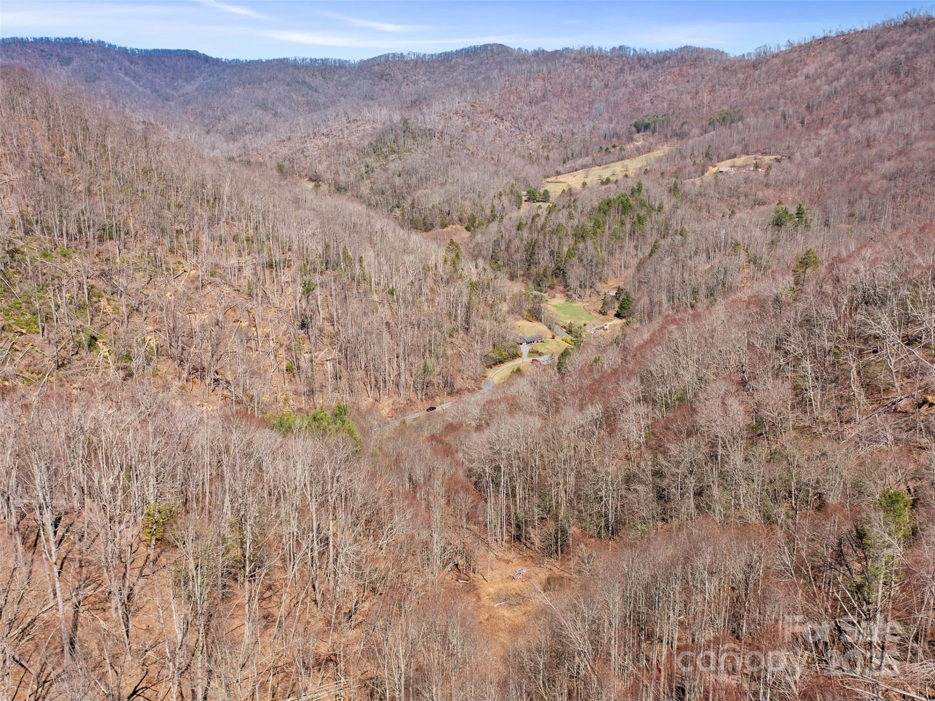 0 NC Highway 226 None - Photo 43