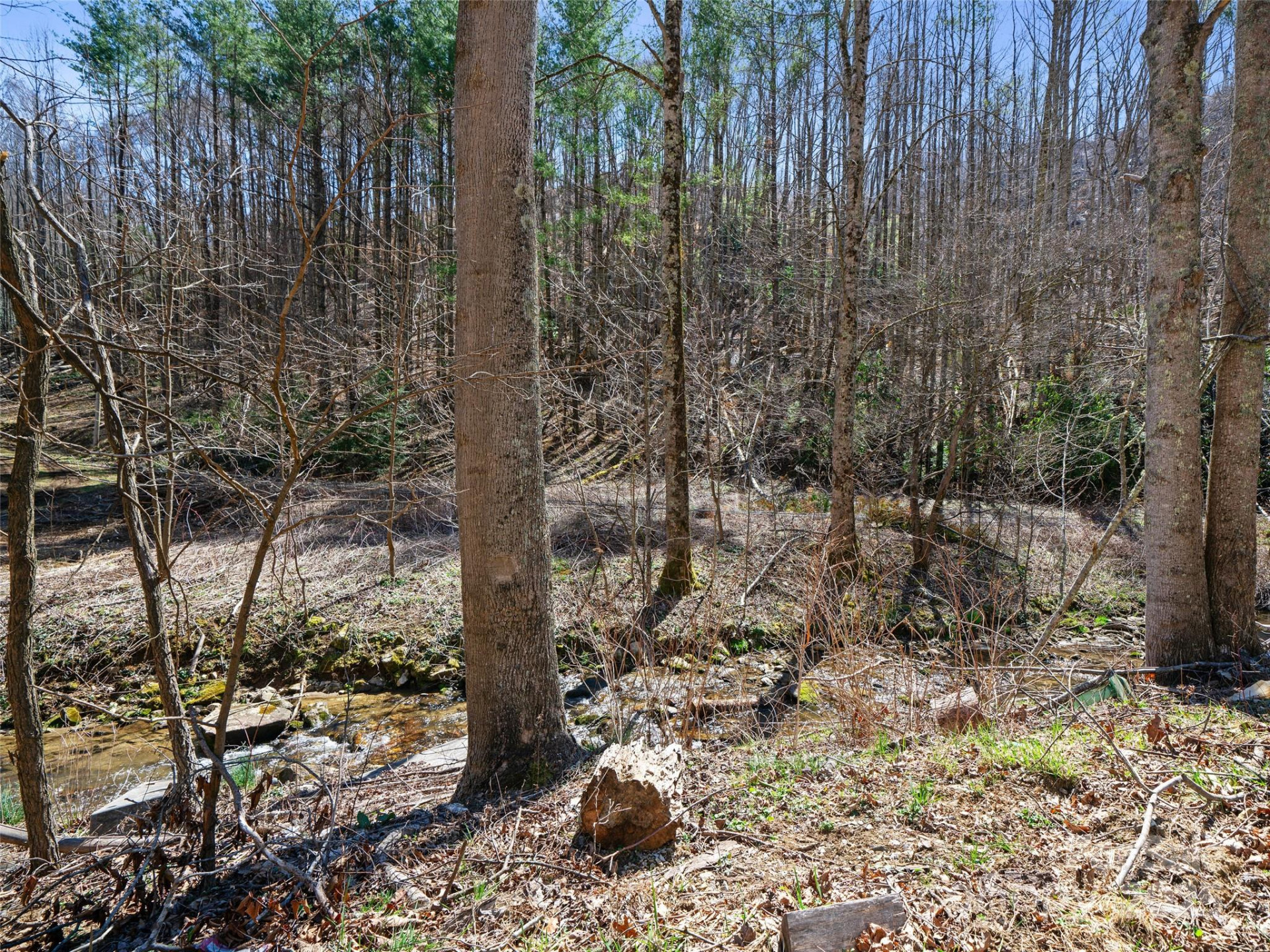 0 NC Highway 226 None - Photo 6