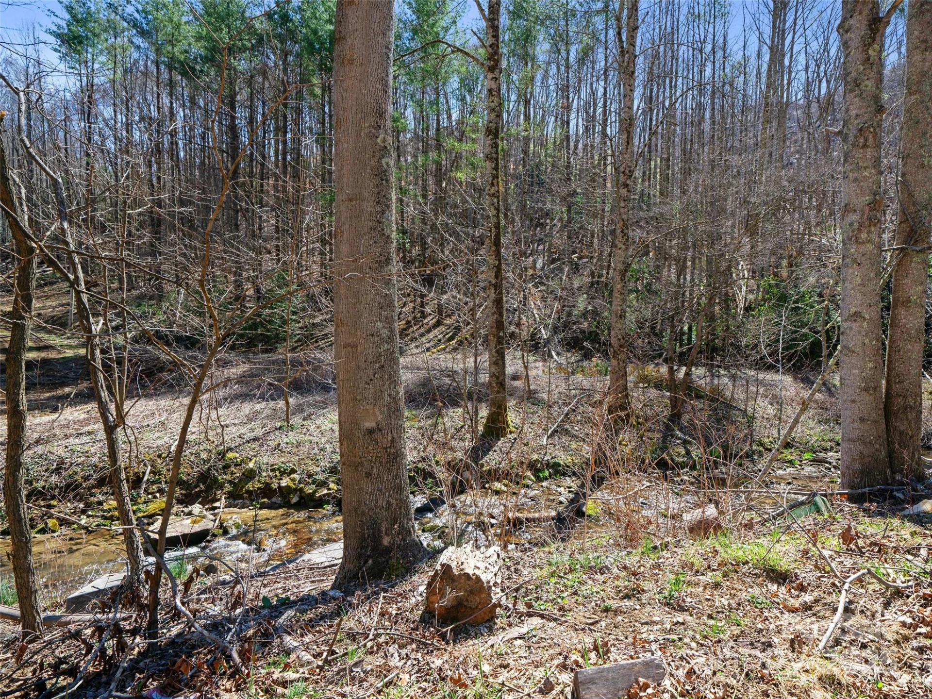 0 NC Highway 226 None - Photo 6