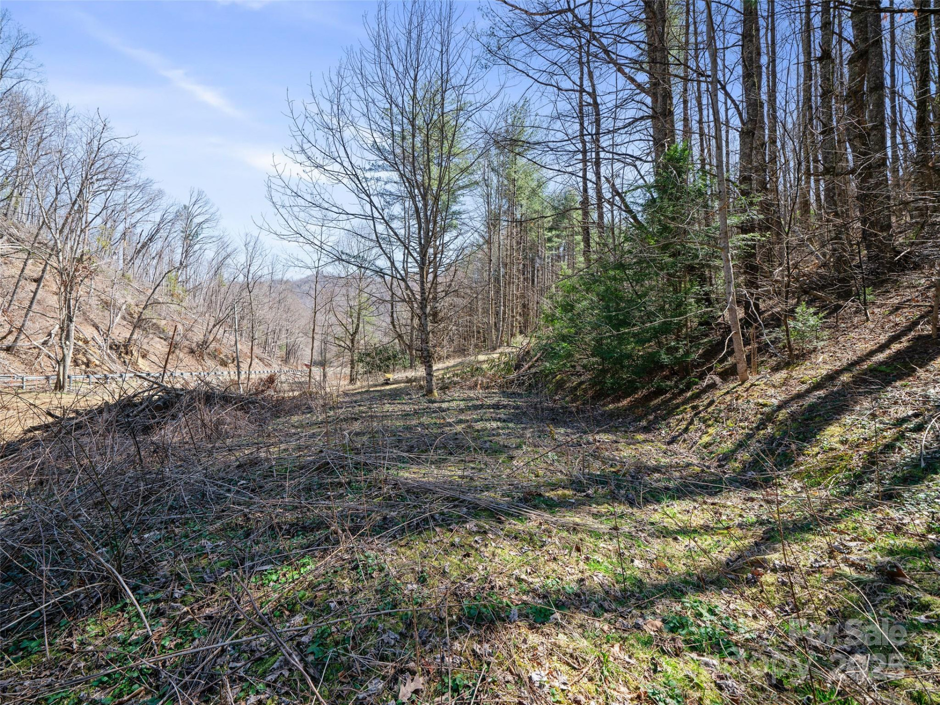 0 NC Highway 226 None - Photo 7