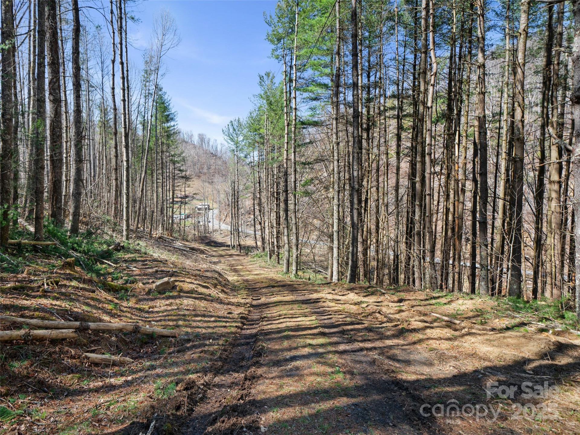 0 NC Highway 226 None - Photo 8