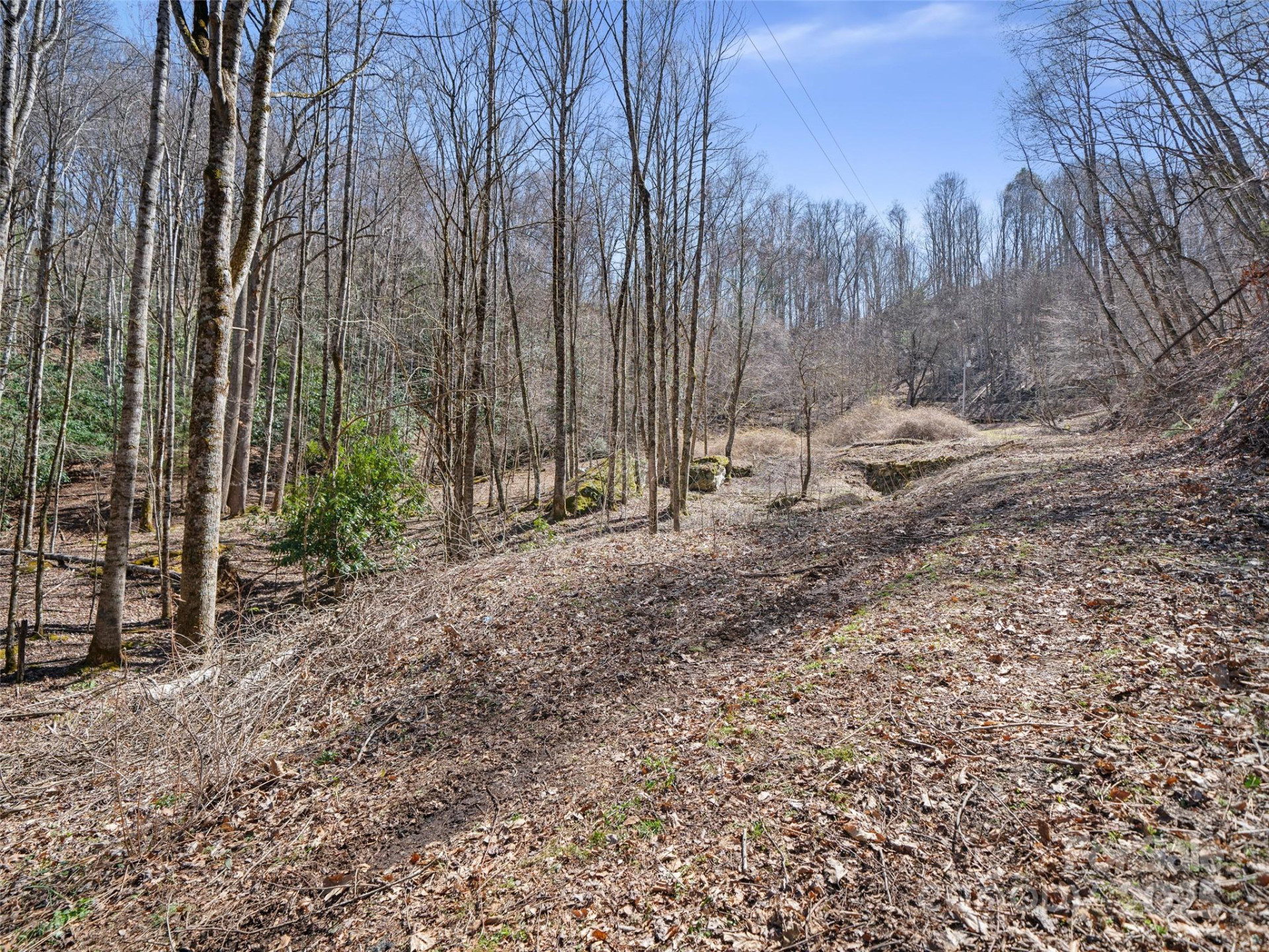 0 NC Highway 226 None - Photo 9