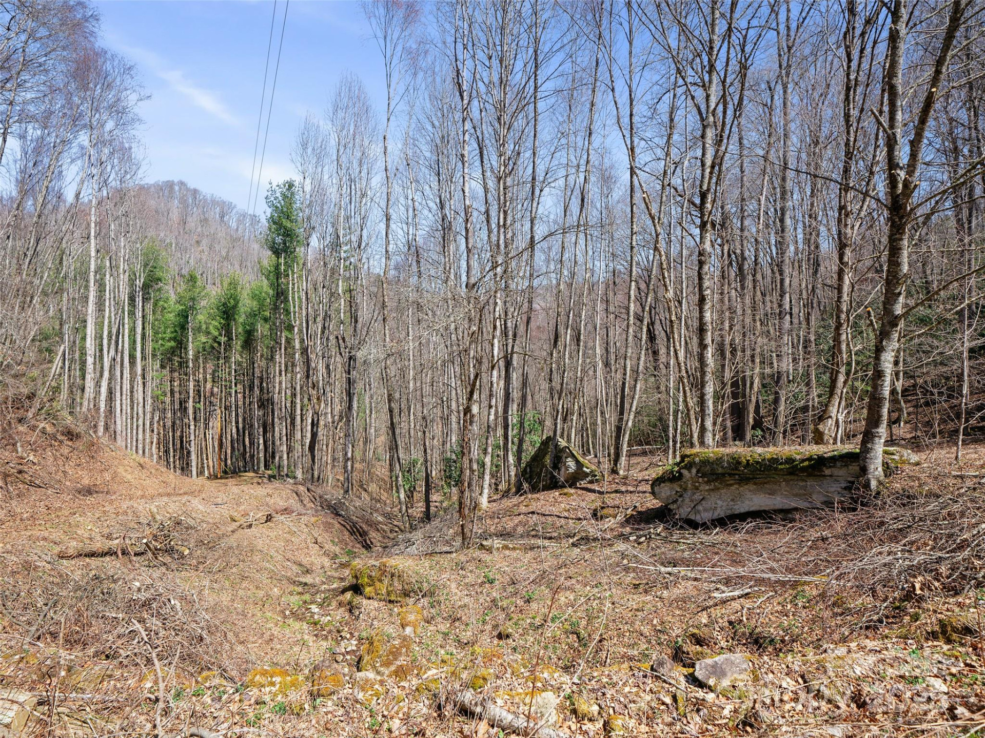 0 NC Highway 226 None - Photo 10