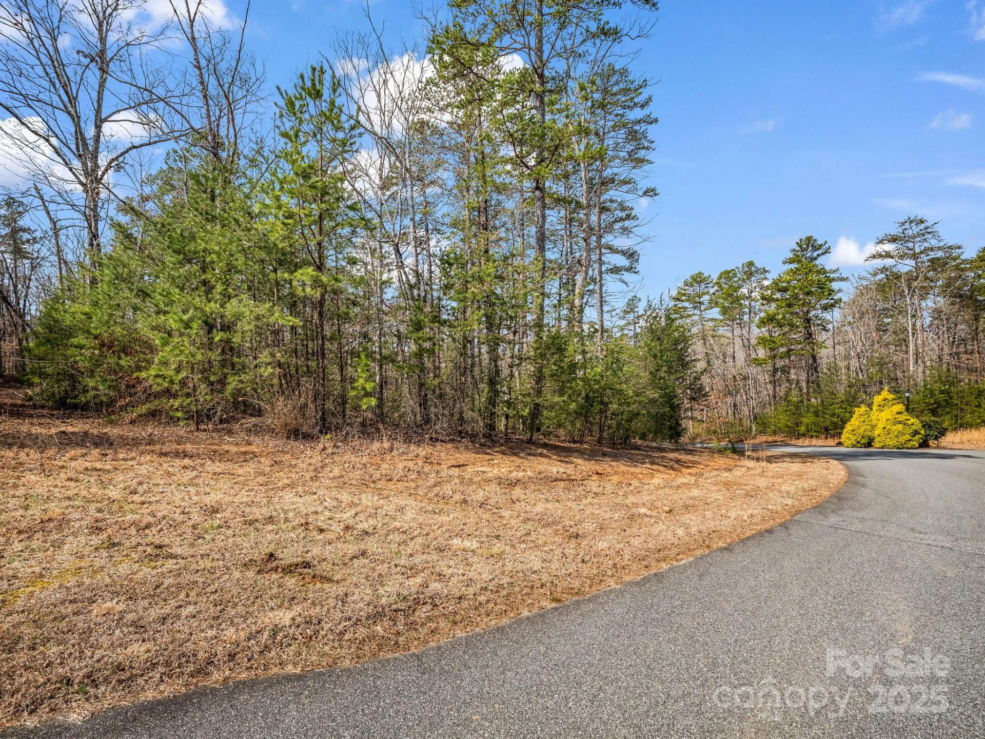 0 Shady Bark Lane #30 - Photo 6