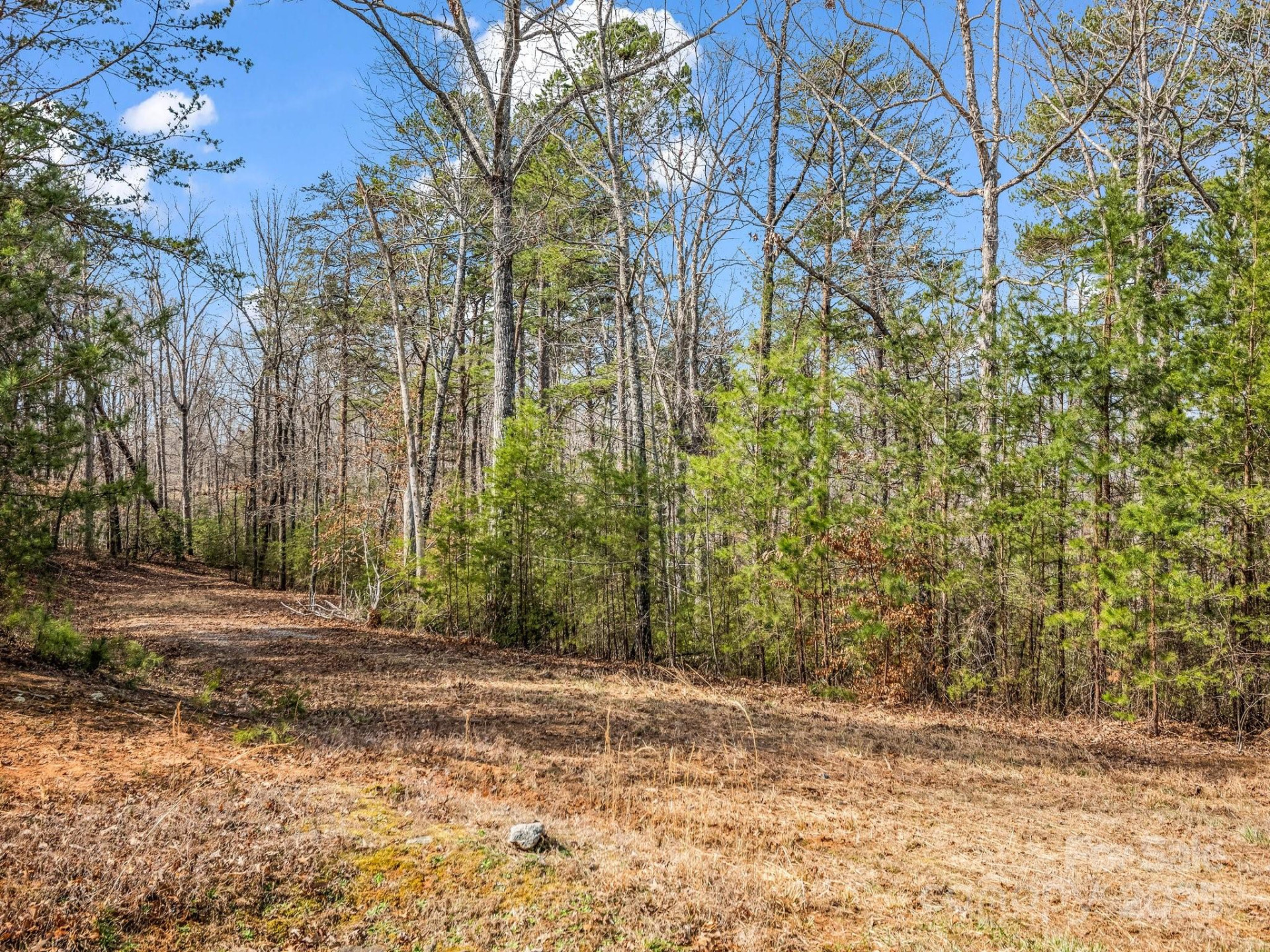 0 Shady Bark Lane #30 - Photo 7