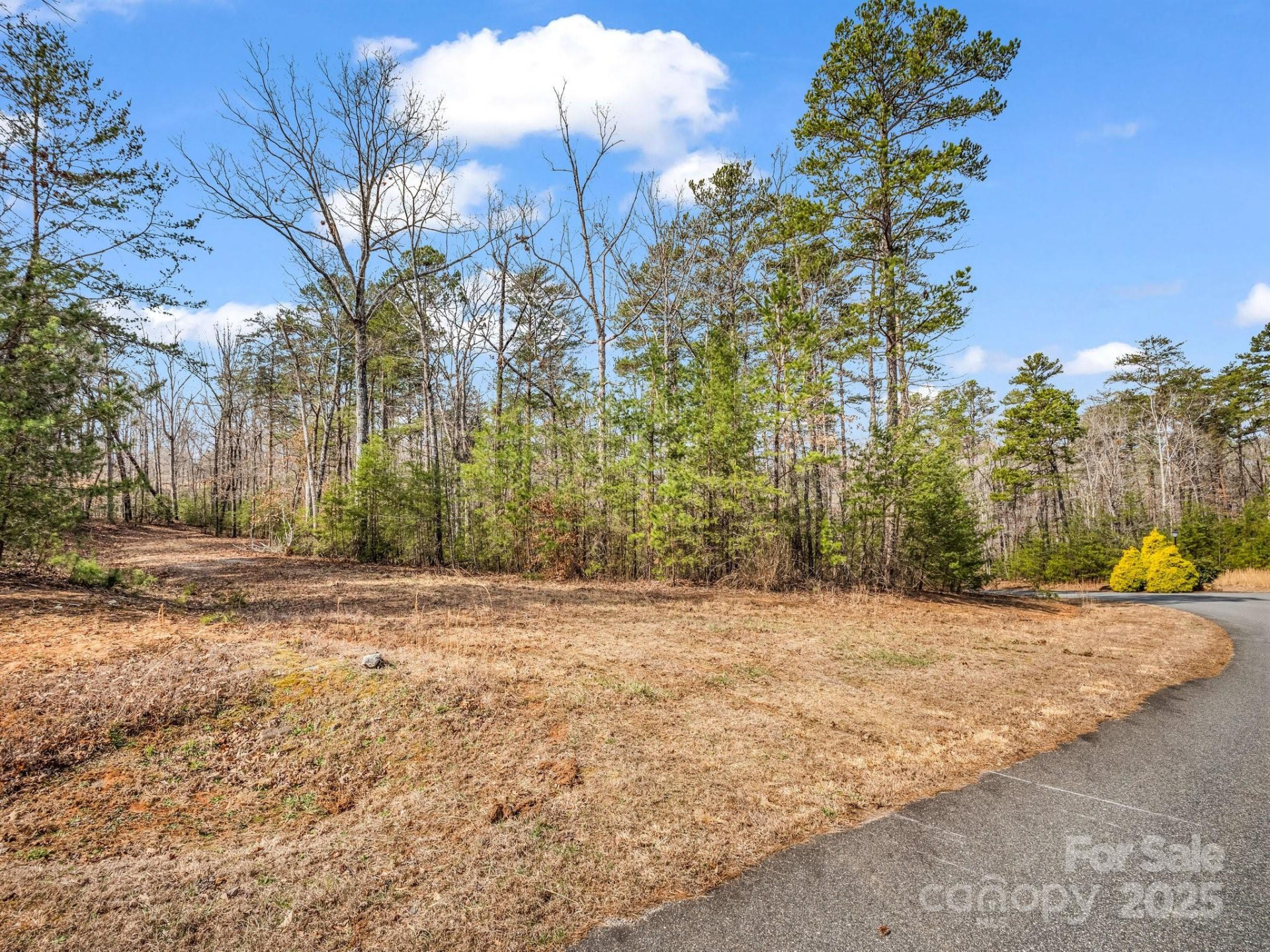 0 Shady Bark Lane #30 - Photo 8