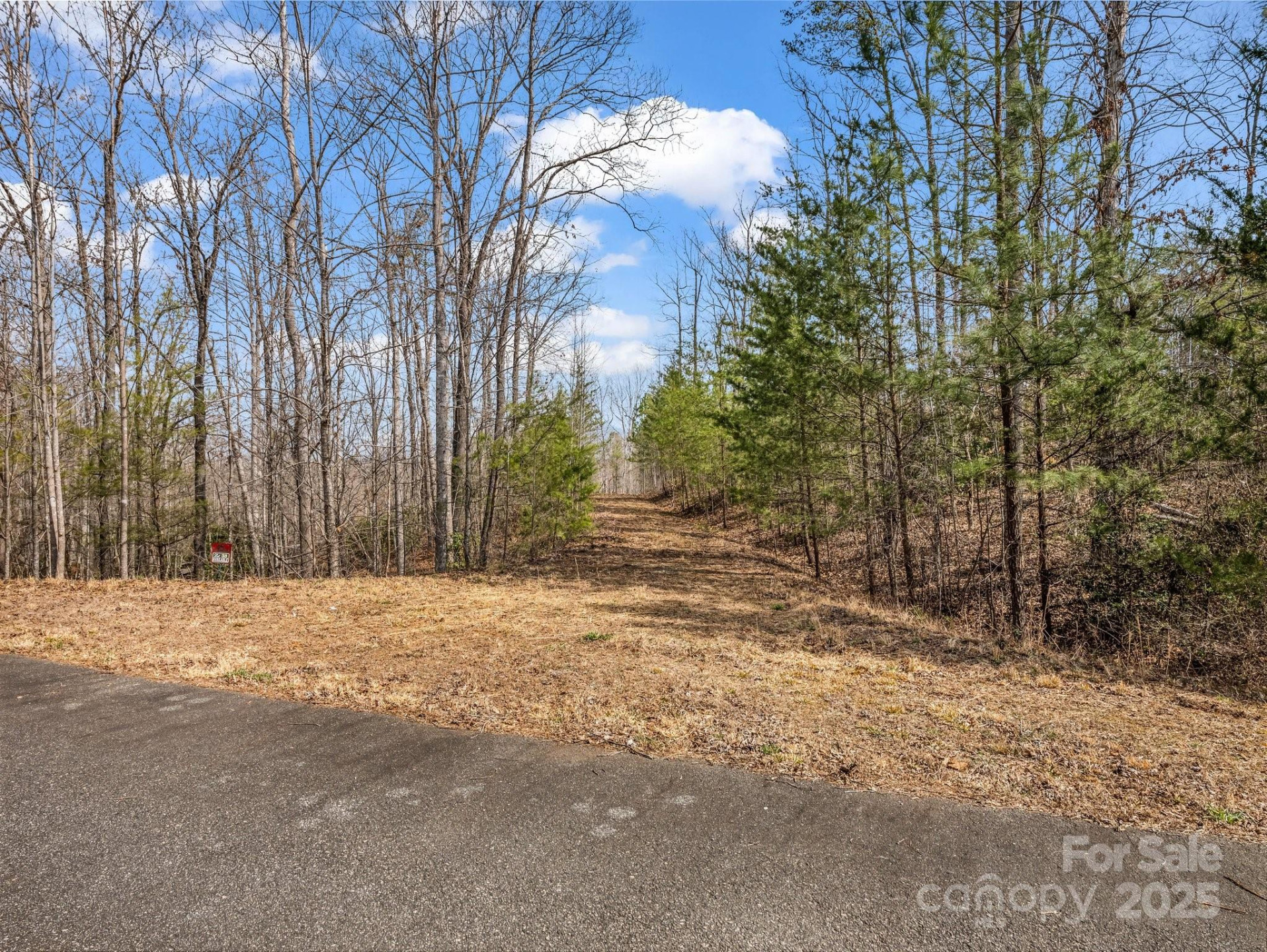 0 Shady Bark Lane #39 - Photo 6