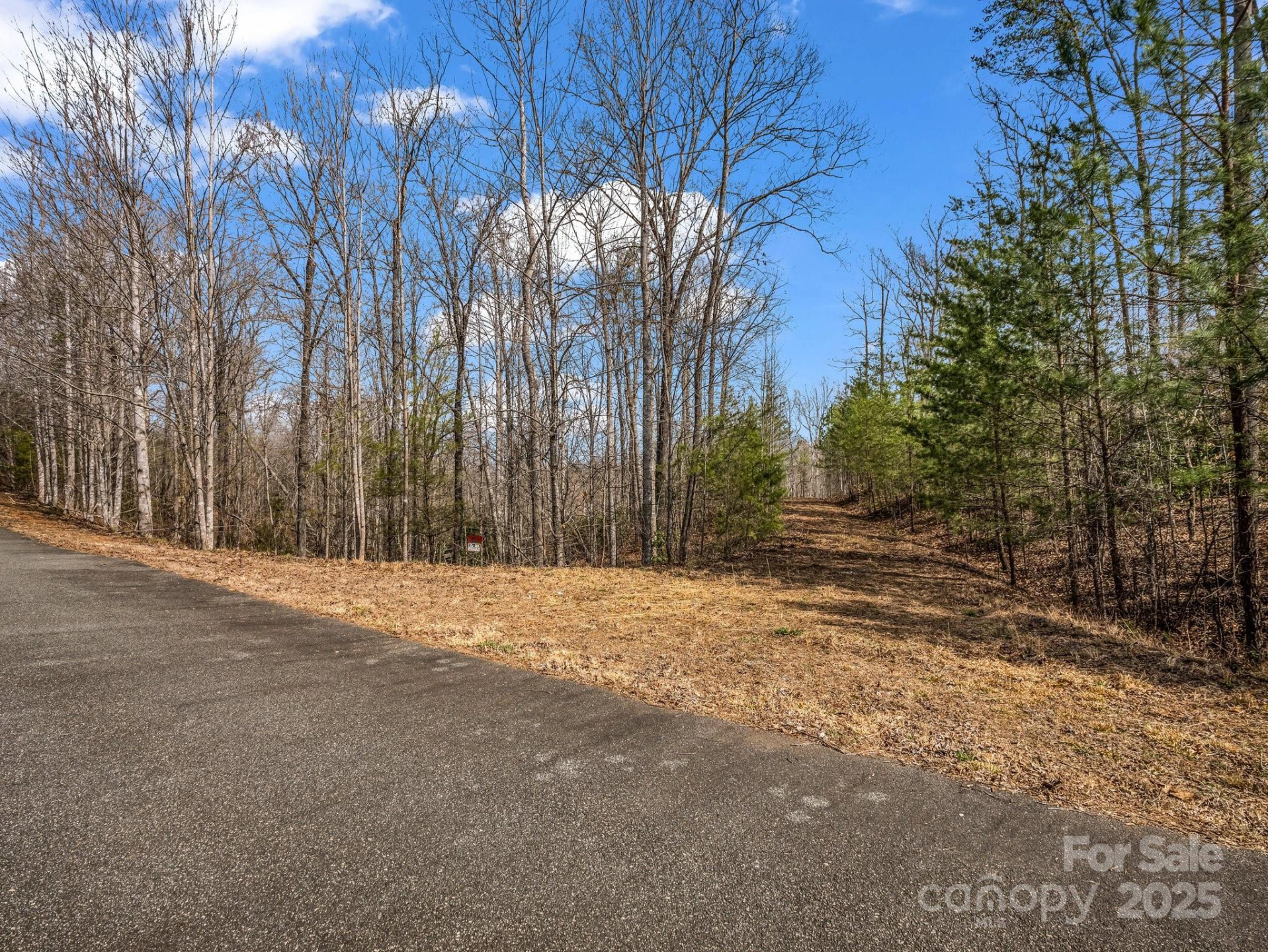 0 Shady Bark Lane #39 - Photo 7