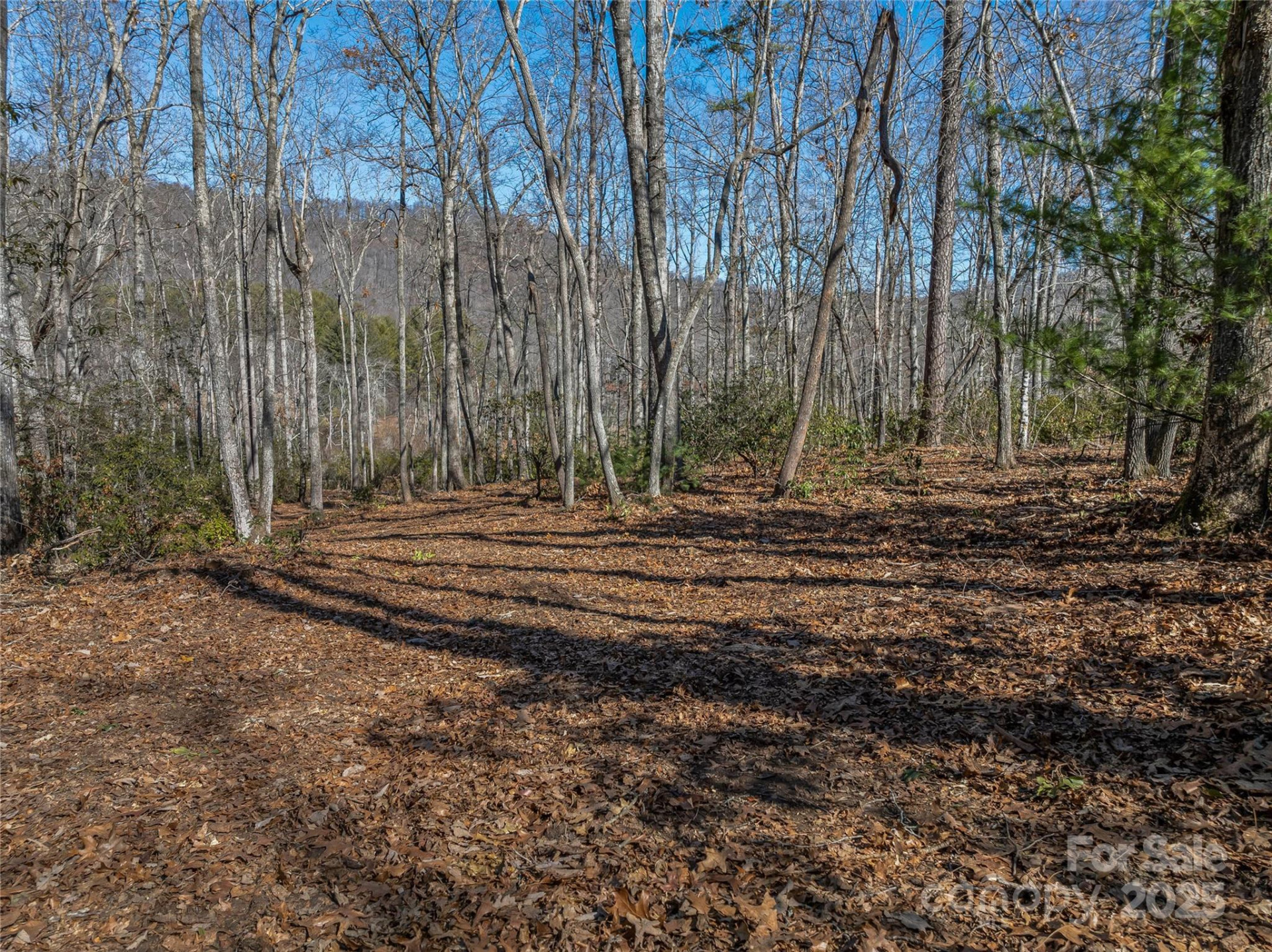 1304 Fawn Meadow Way - Photo 18