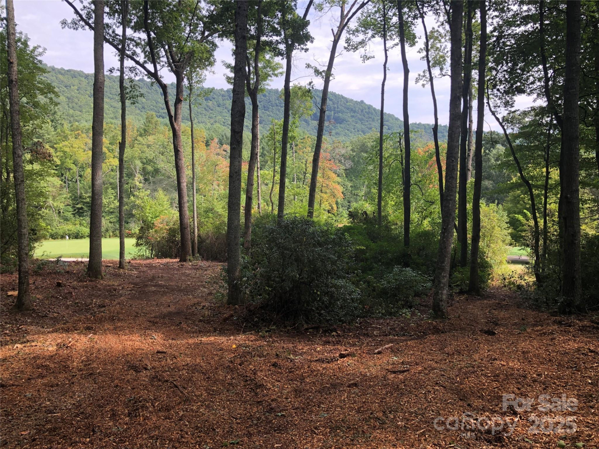 1304 Fawn Meadow Way - Photo 3
