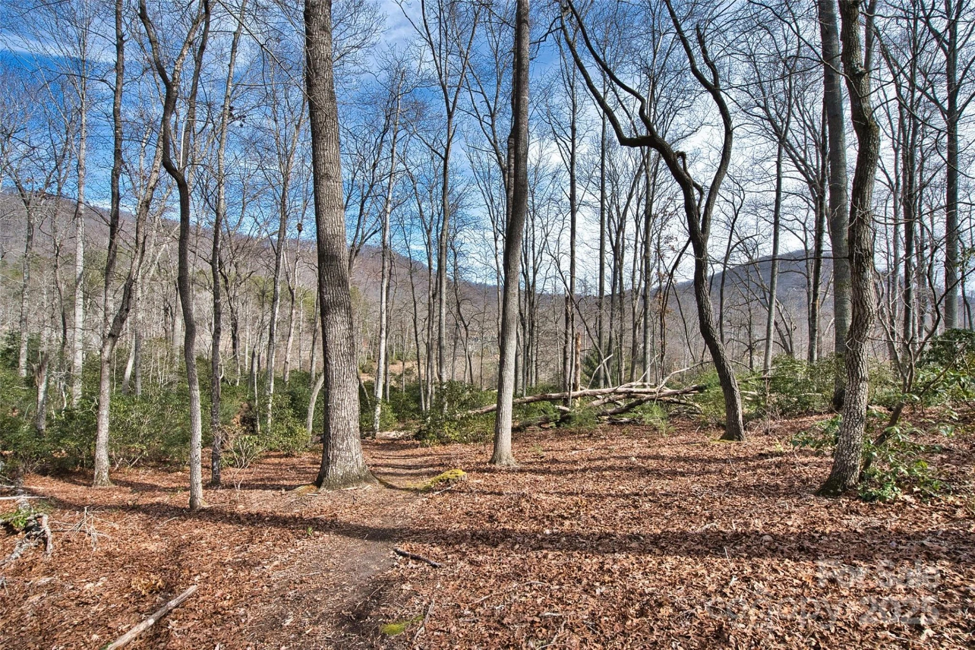 1304 Fawn Meadow Way - Photo 27