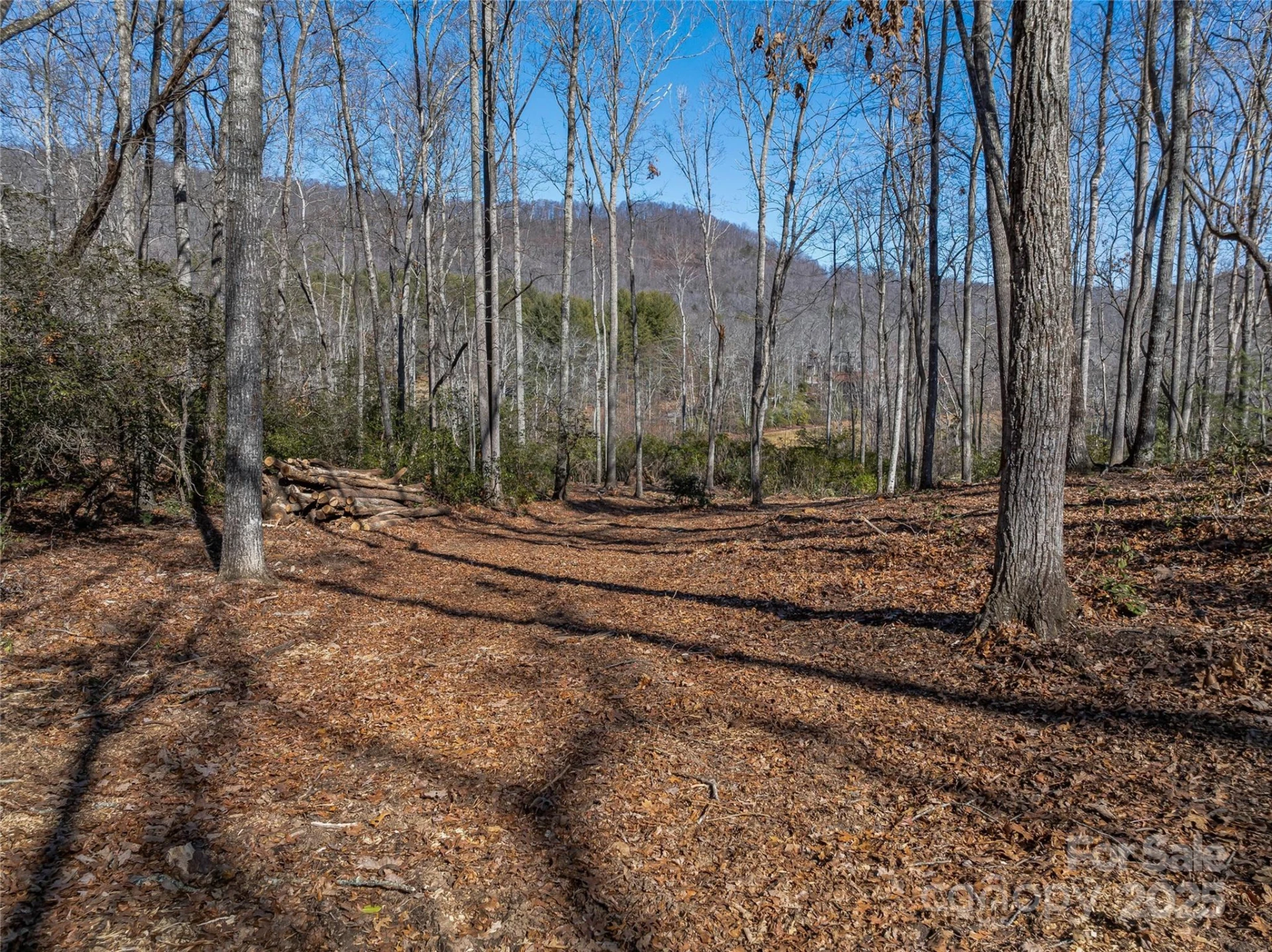 1304 Fawn Meadow Way - Photo 4