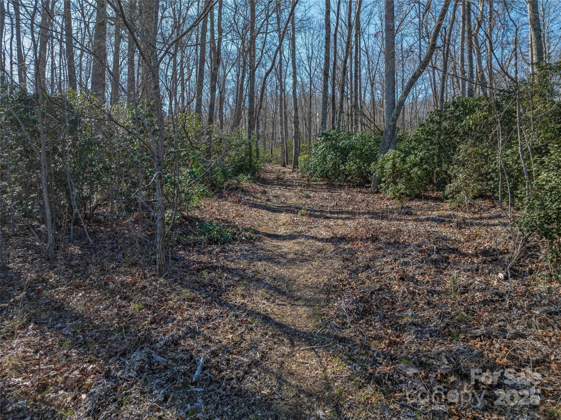 1304 Fawn Meadow Way - Photo 38
