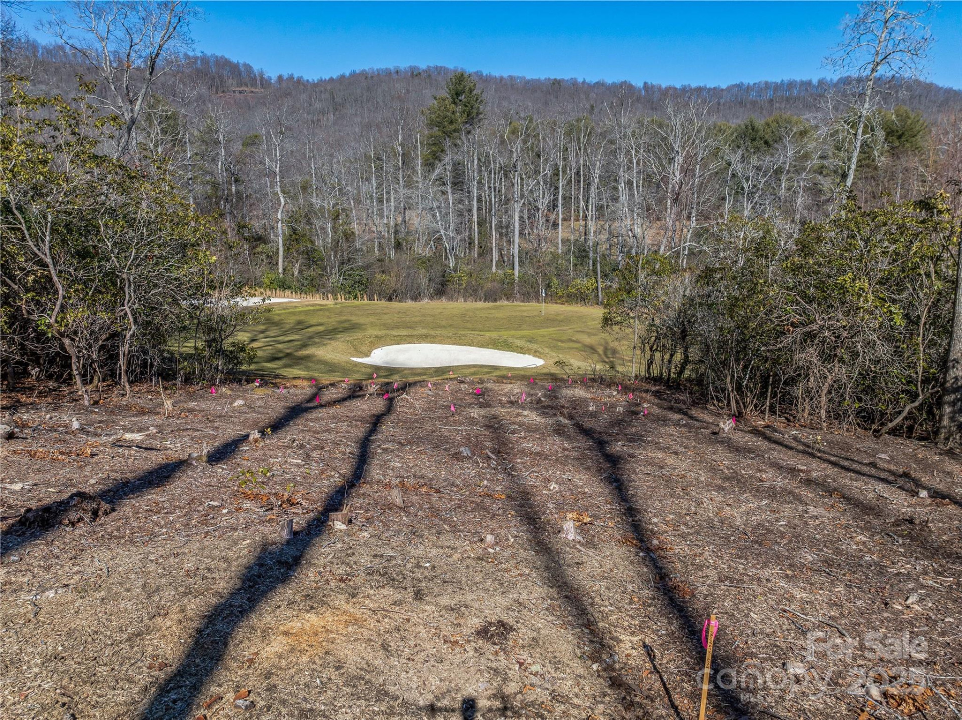 1304 Fawn Meadow Way - Photo 5