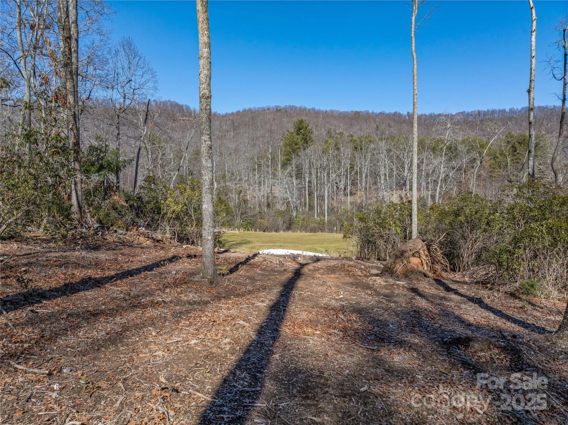 1304 Fawn Meadow Way - Photo 6